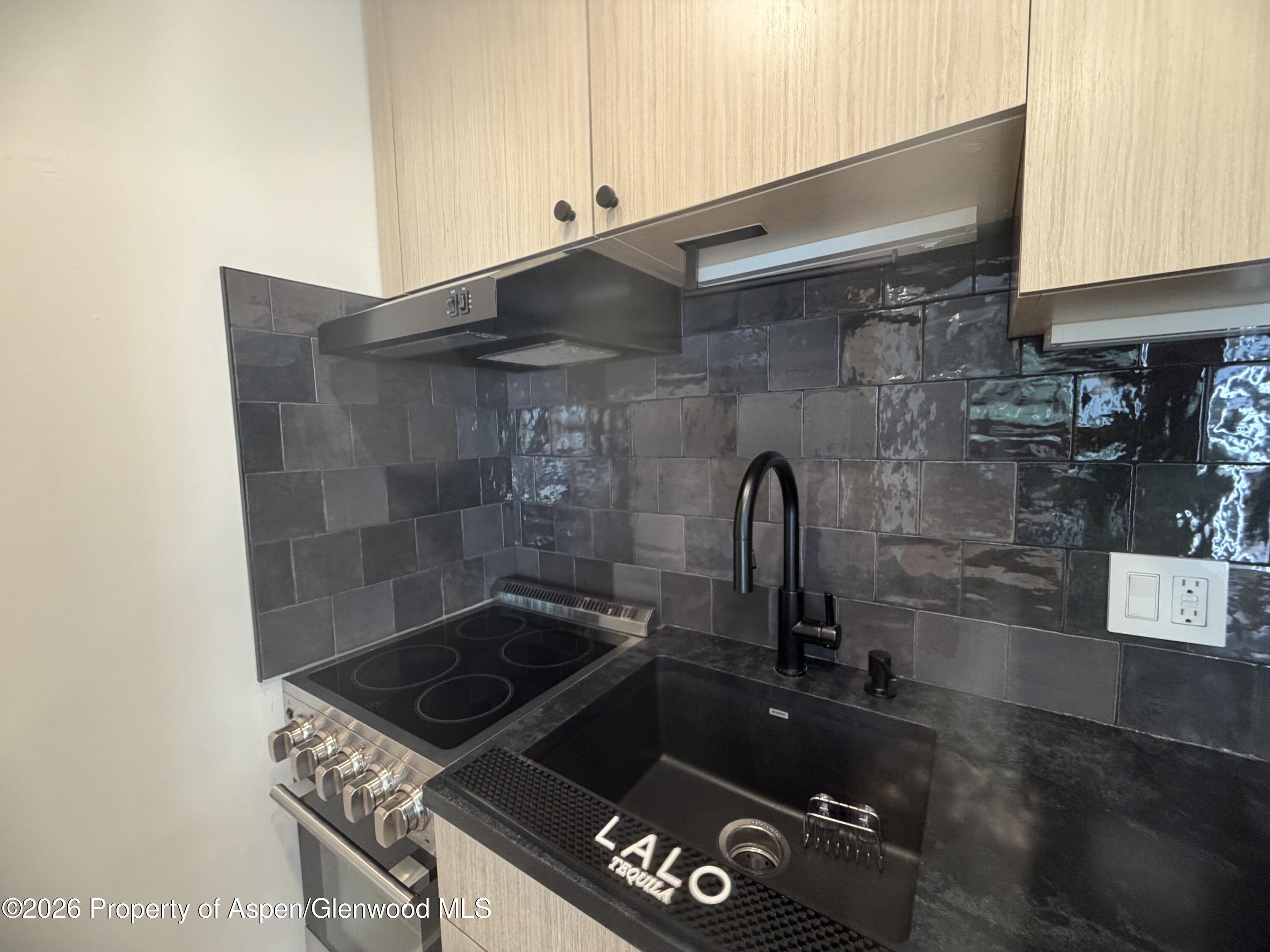 725 E Main Street Aspen CO 81611