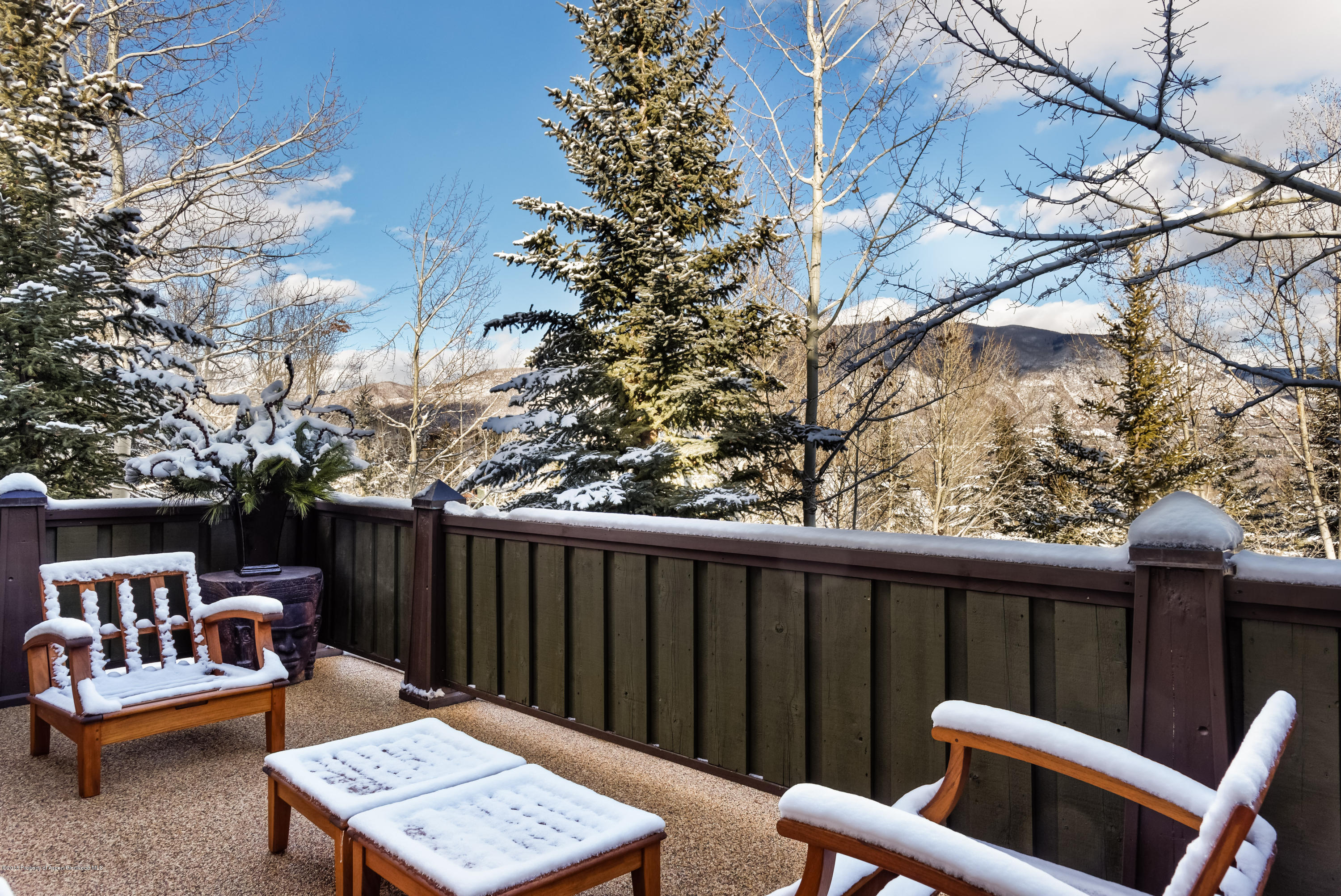204 Oregon Trail Aspen CO 81611