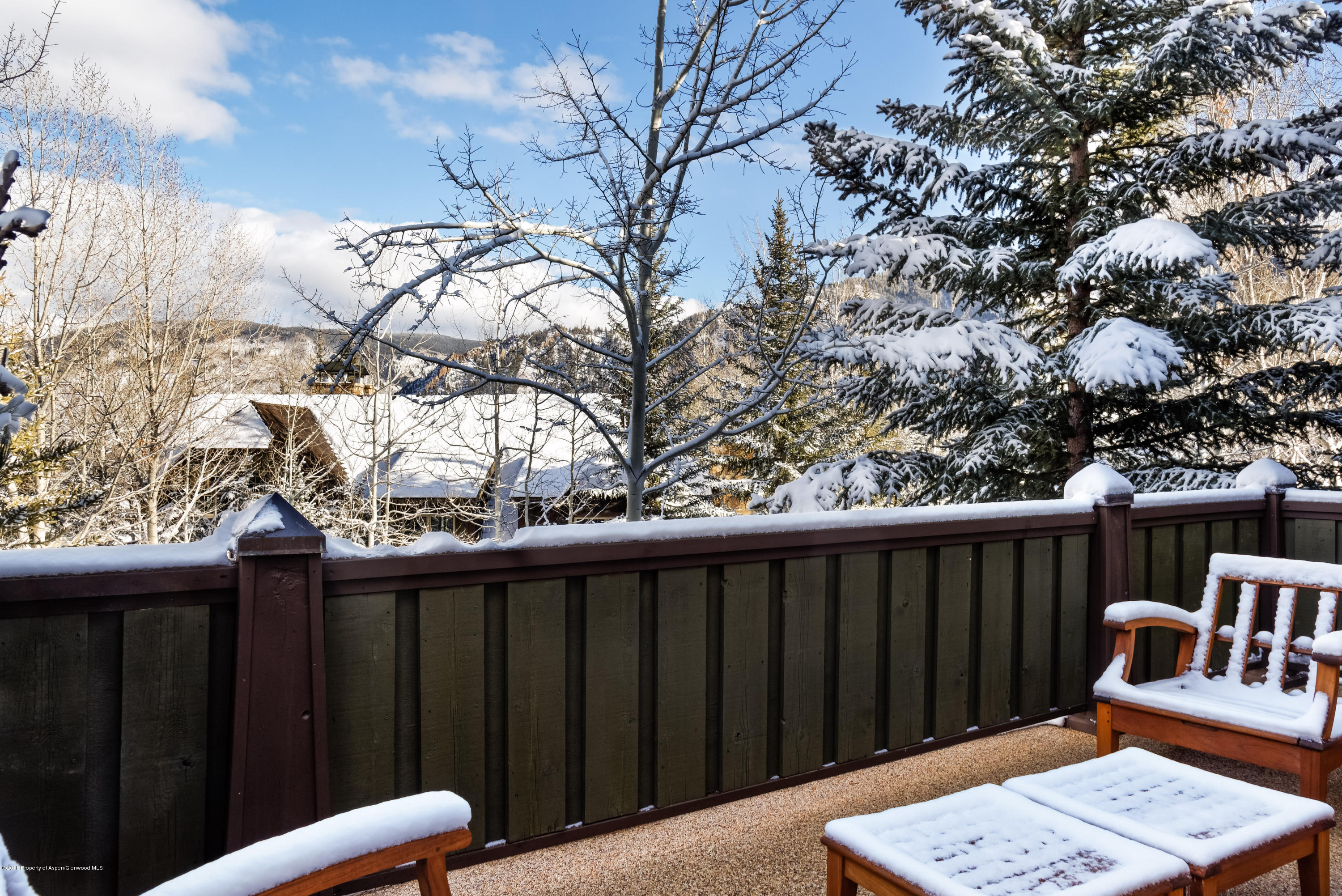 204 Oregon Trail Aspen CO 81611