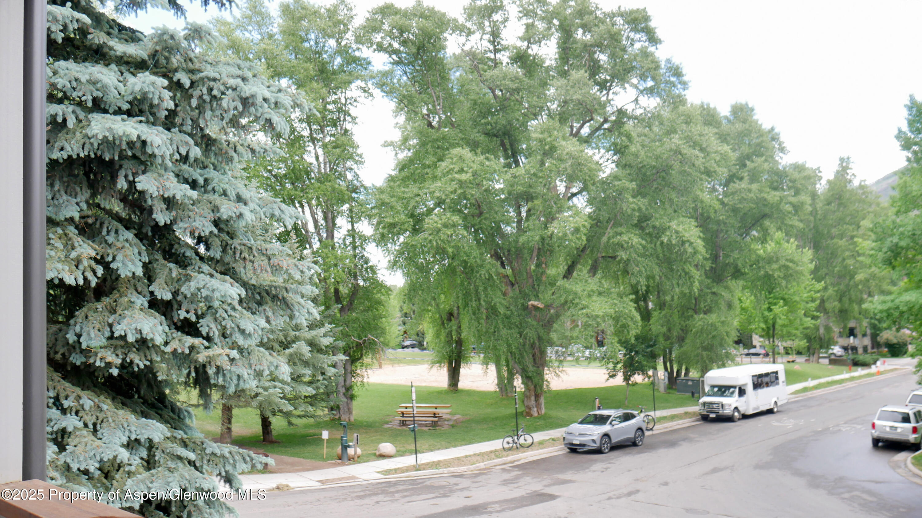 100 E Dean Street Aspen CO 81611