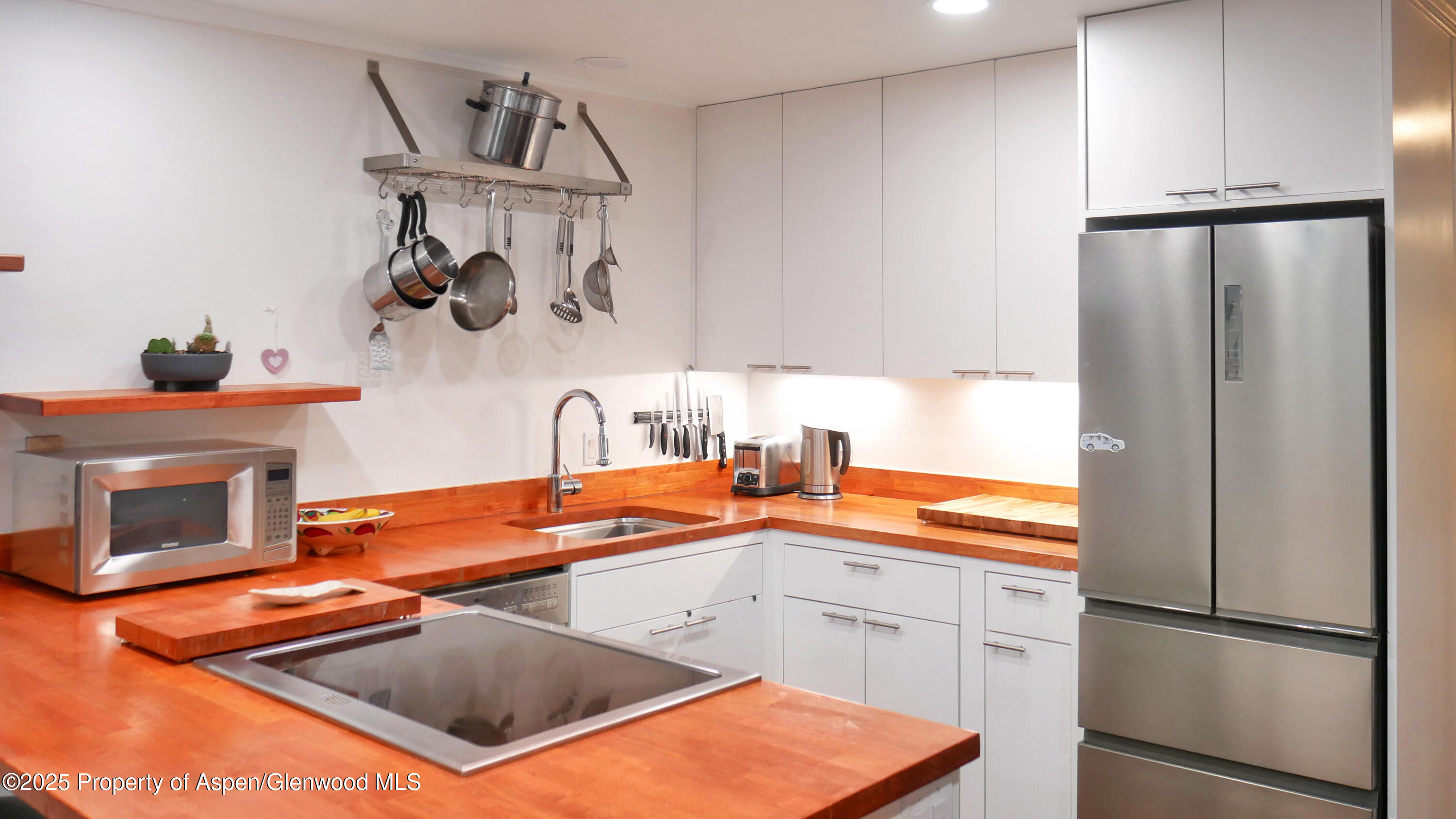 100 E Dean Street Aspen CO 81611