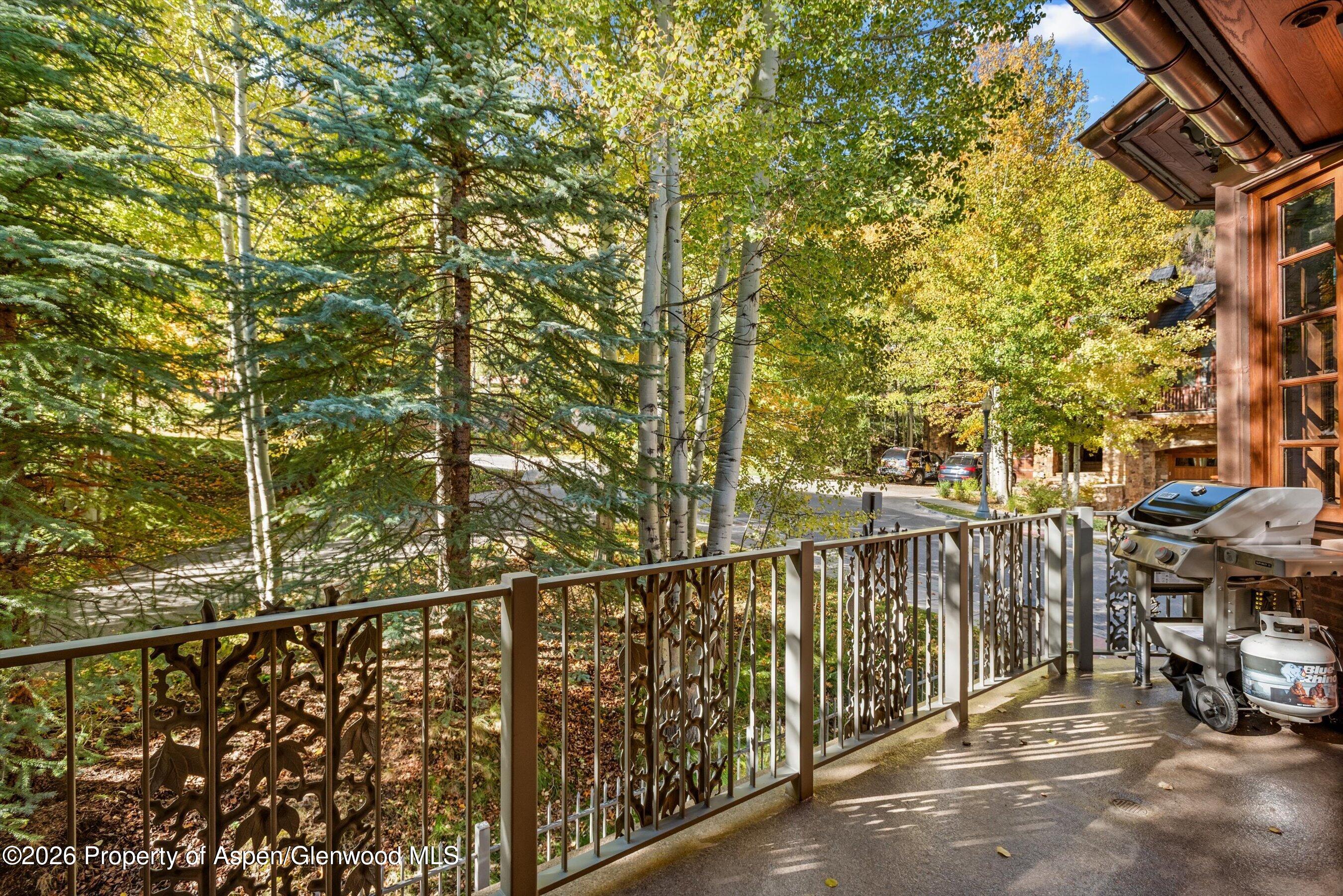 918 S Mill Street Aspen CO 81611
