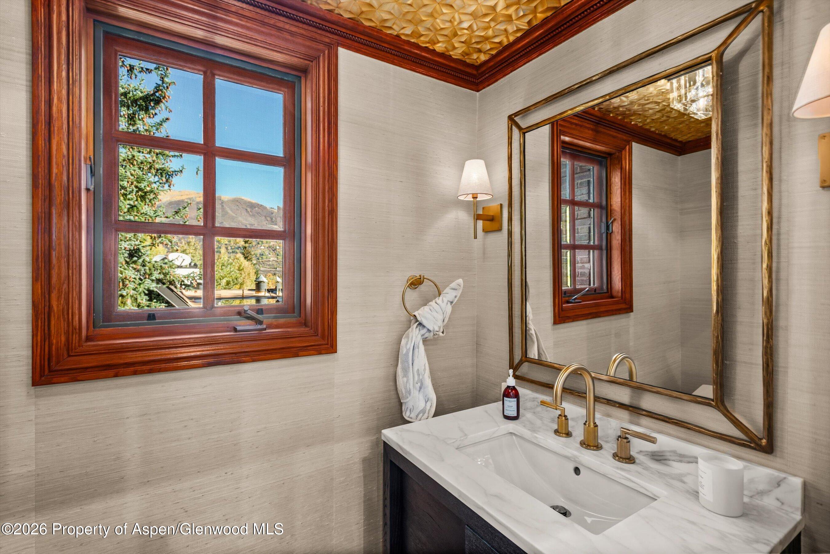918 S Mill Street Aspen CO 81611