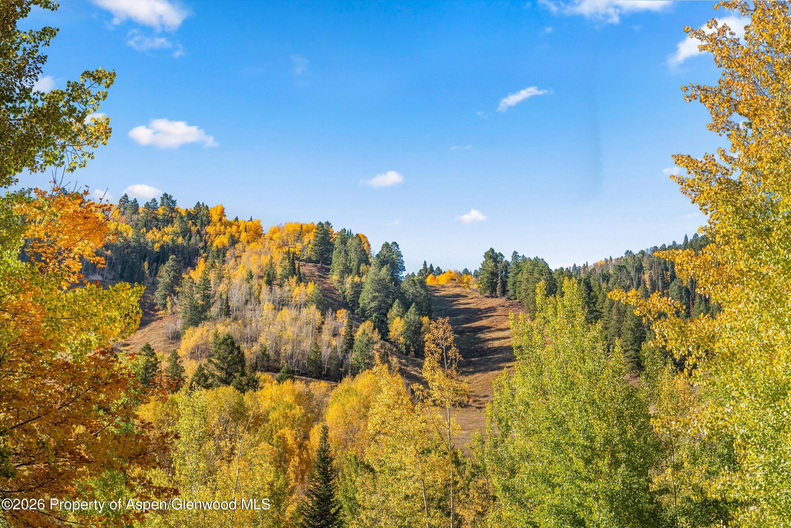 918 S Mill Street Aspen CO 81611
