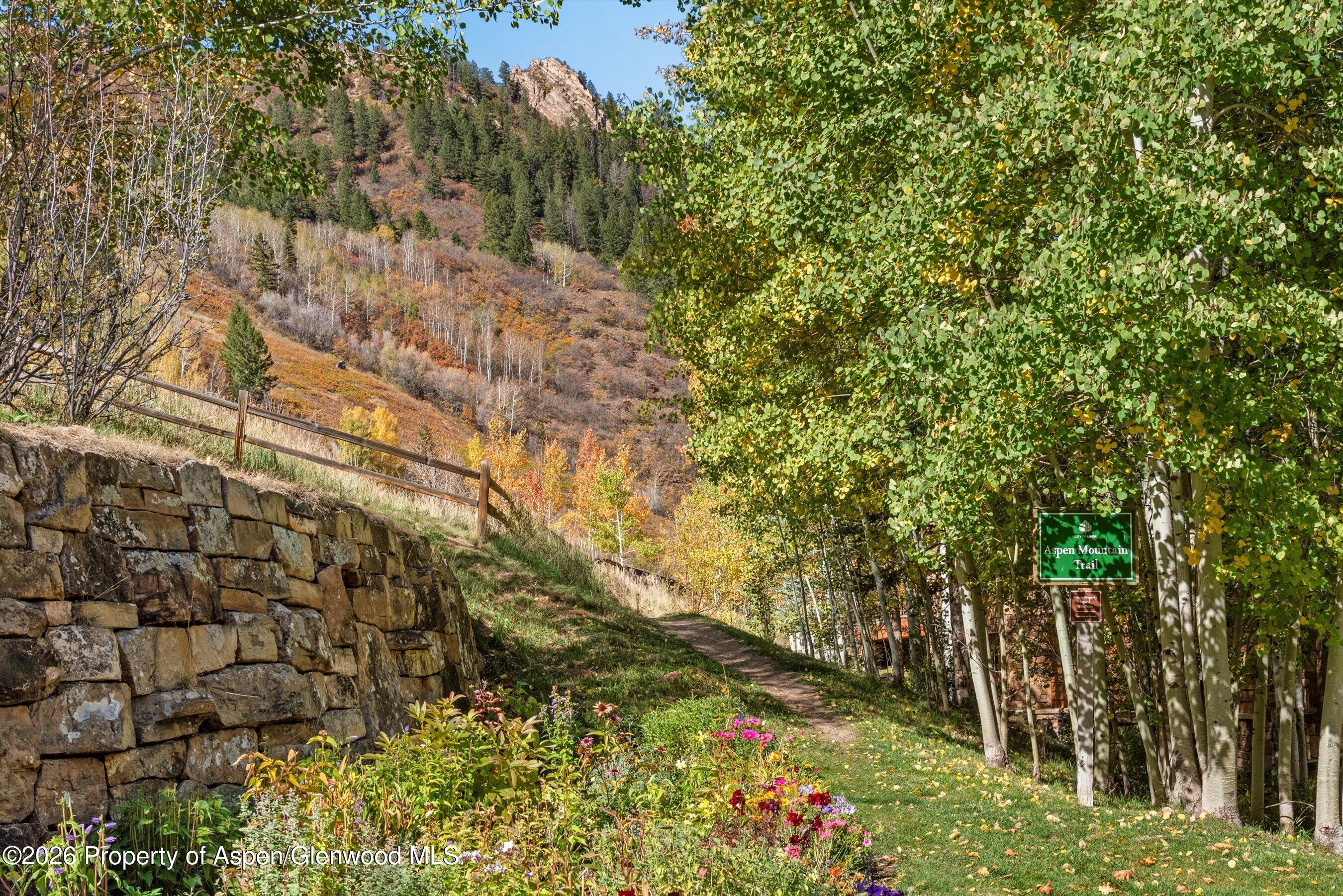 918 S Mill Street Aspen CO 81611