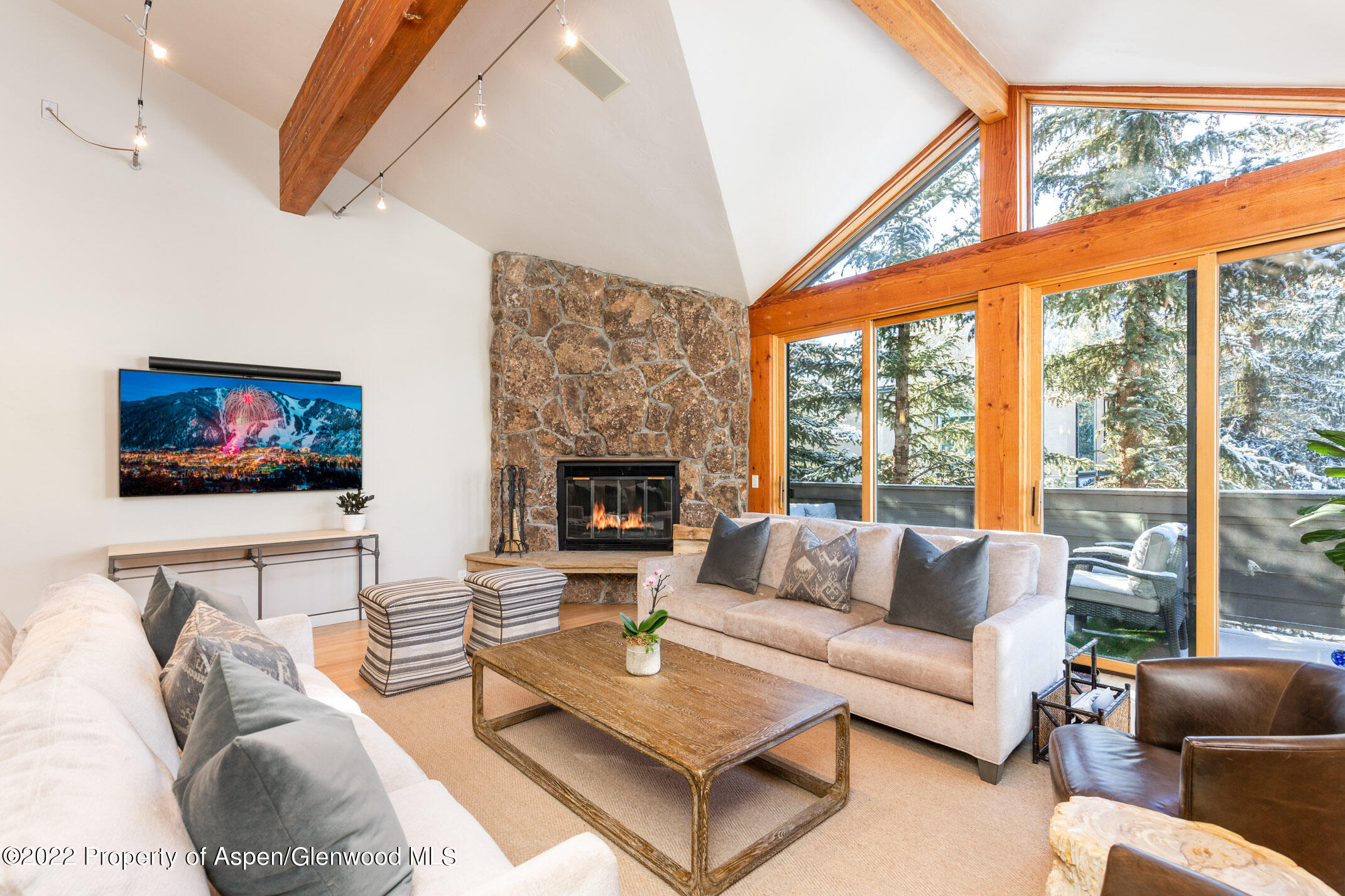 1015 E Hyman Avenue Aspen CO 81611