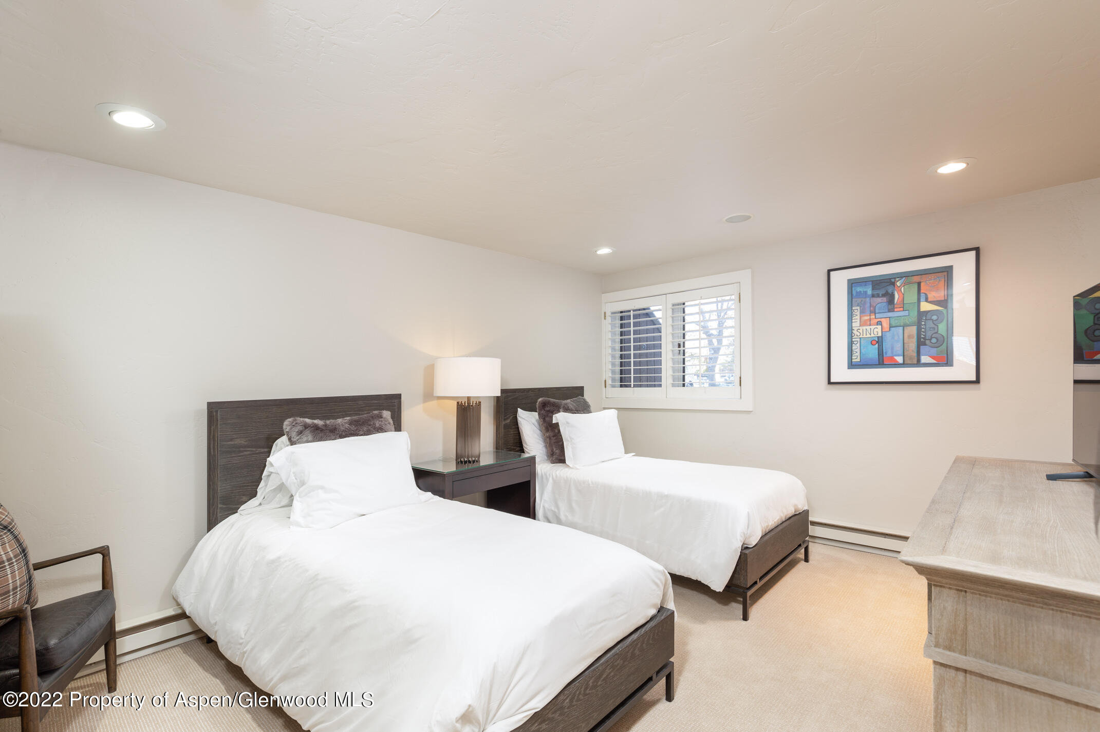 1015 E Hyman Avenue Aspen CO 81611