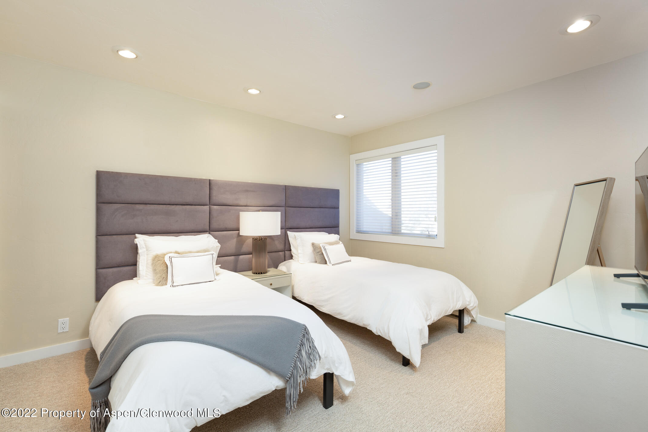 1015 E Hyman Avenue Aspen CO 81611