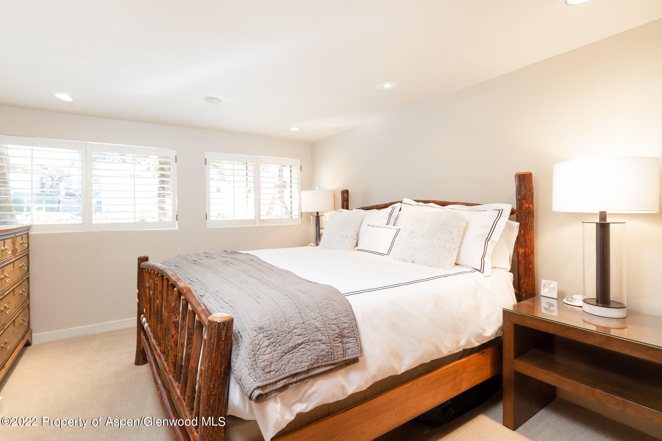 1015 E Hyman Avenue Aspen CO 81611