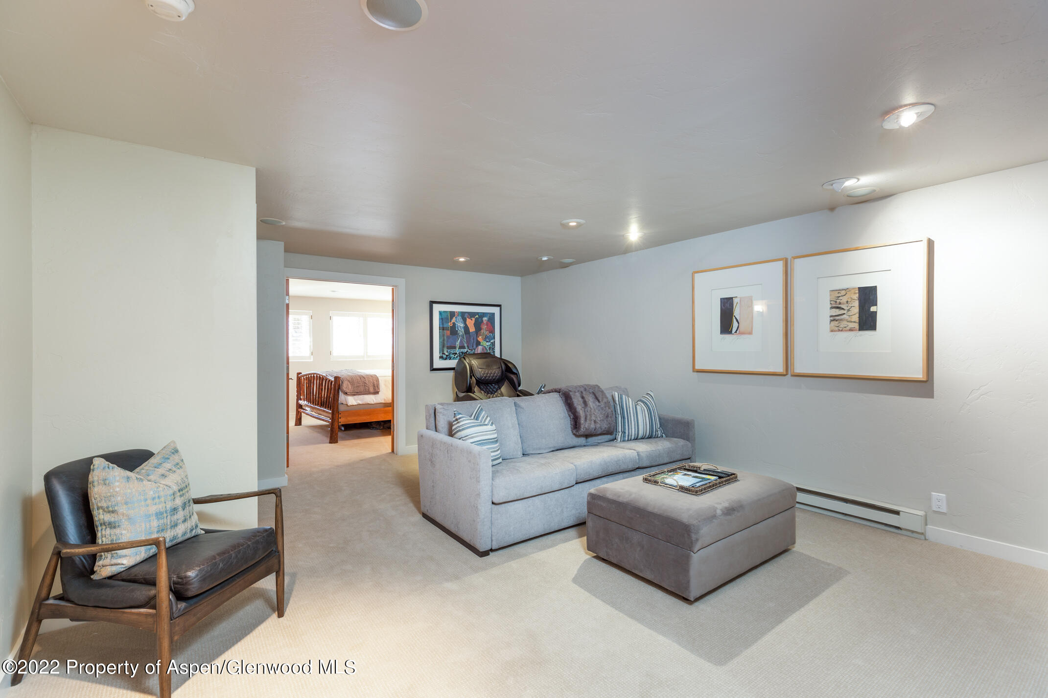 1015 E Hyman Avenue Aspen CO 81611