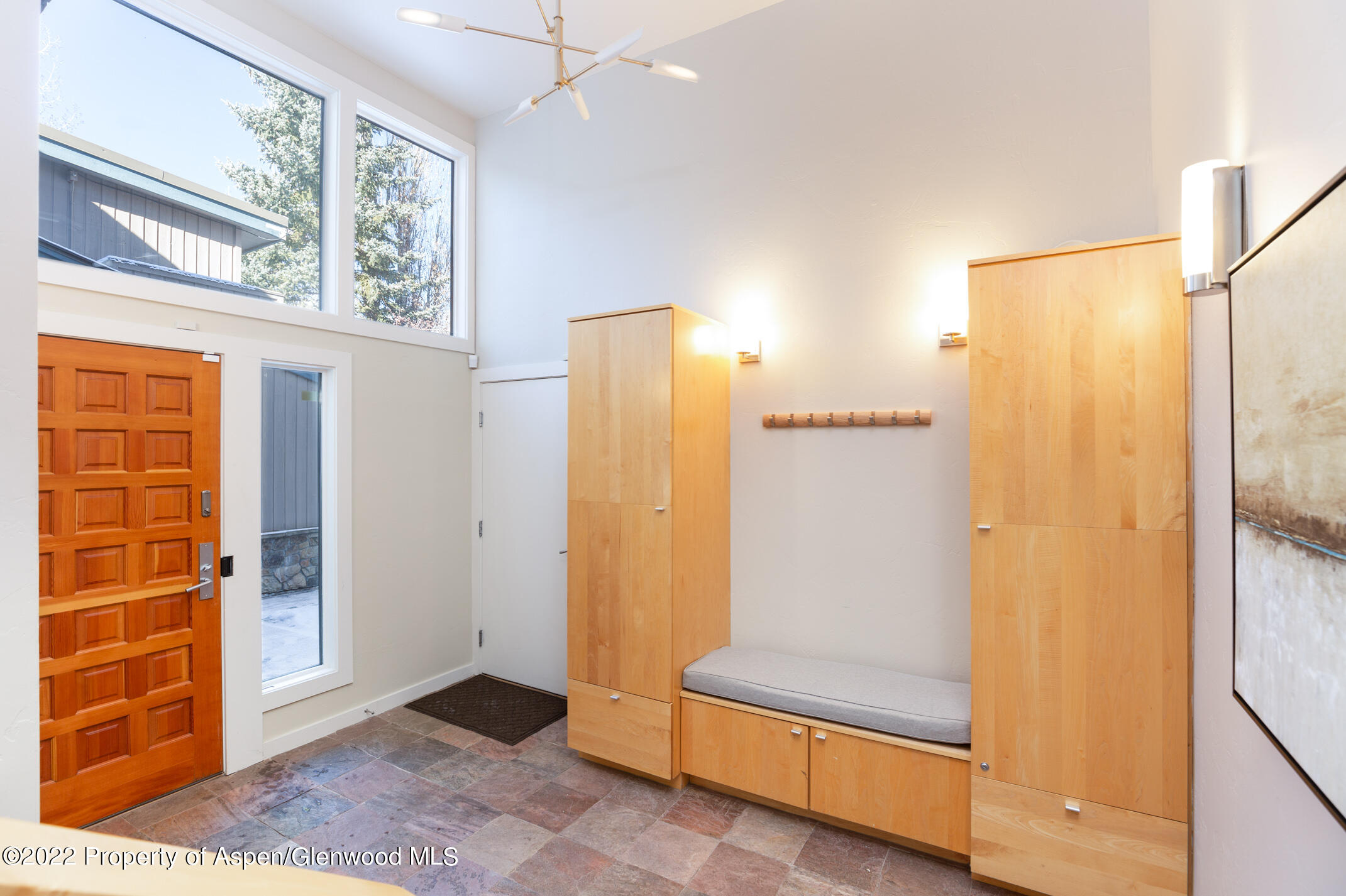 1015 E Hyman Avenue Aspen CO 81611