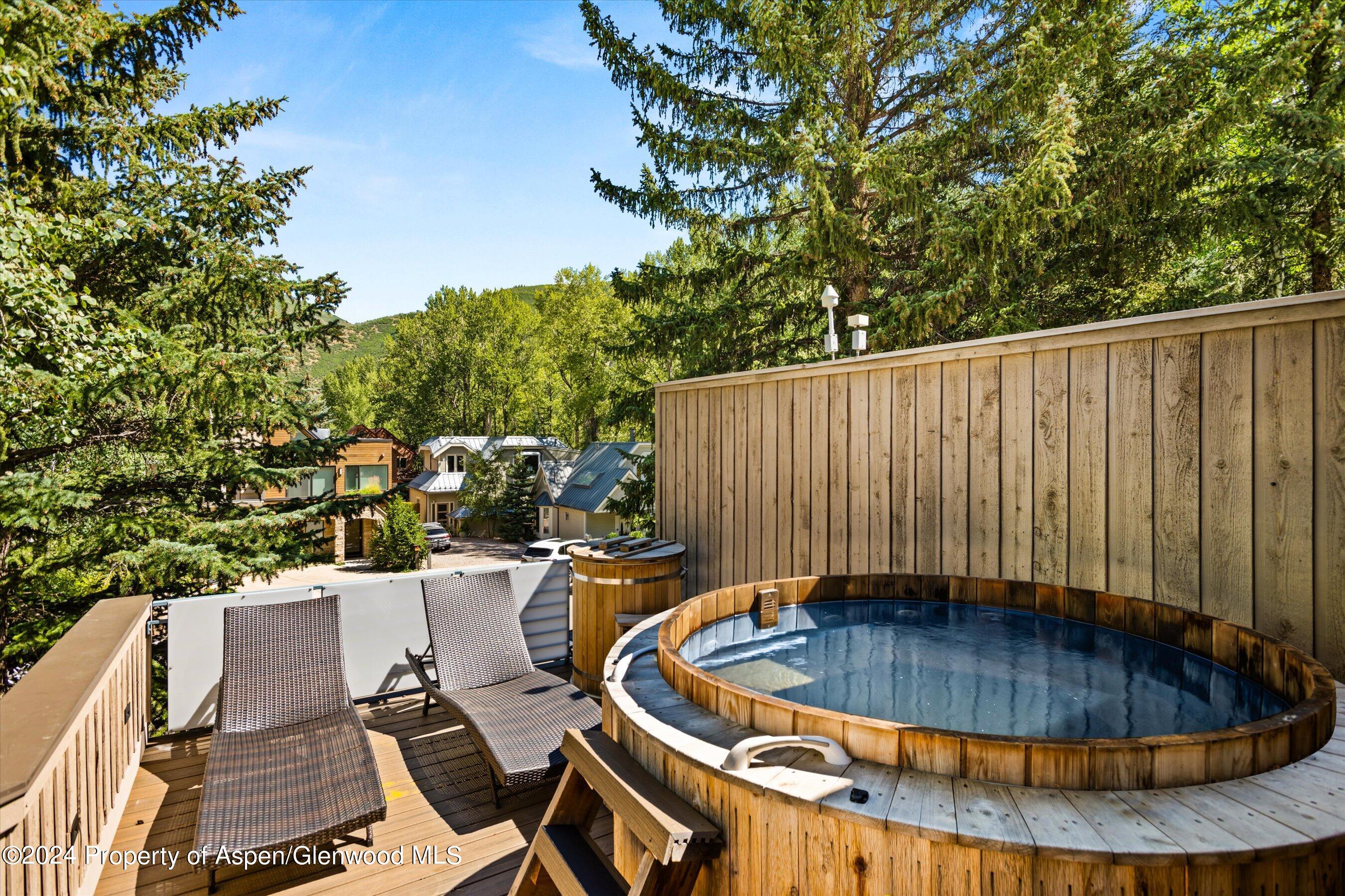 1015 E Hyman Avenue Aspen CO 81611