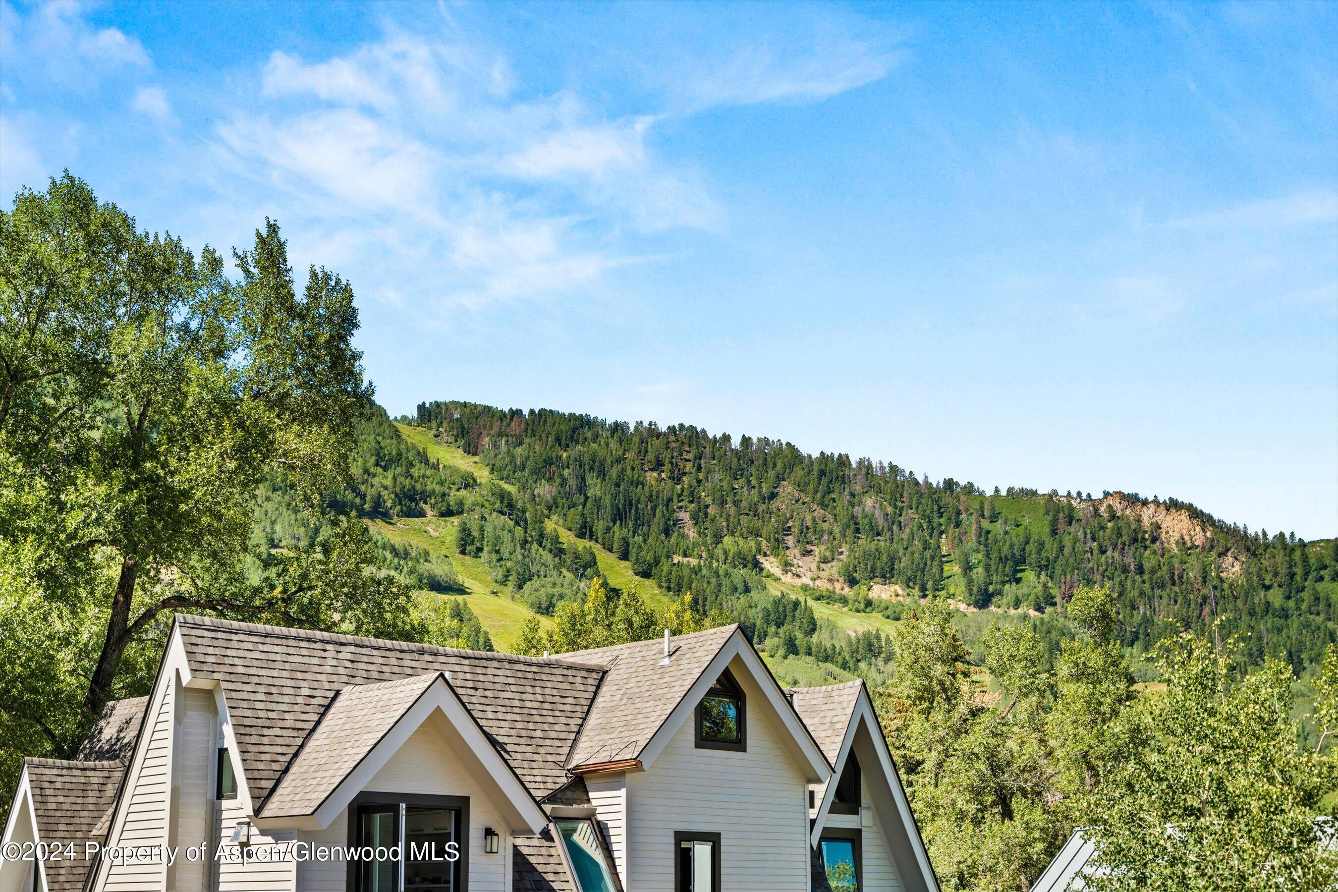 1015 E Hyman Avenue Aspen CO 81611