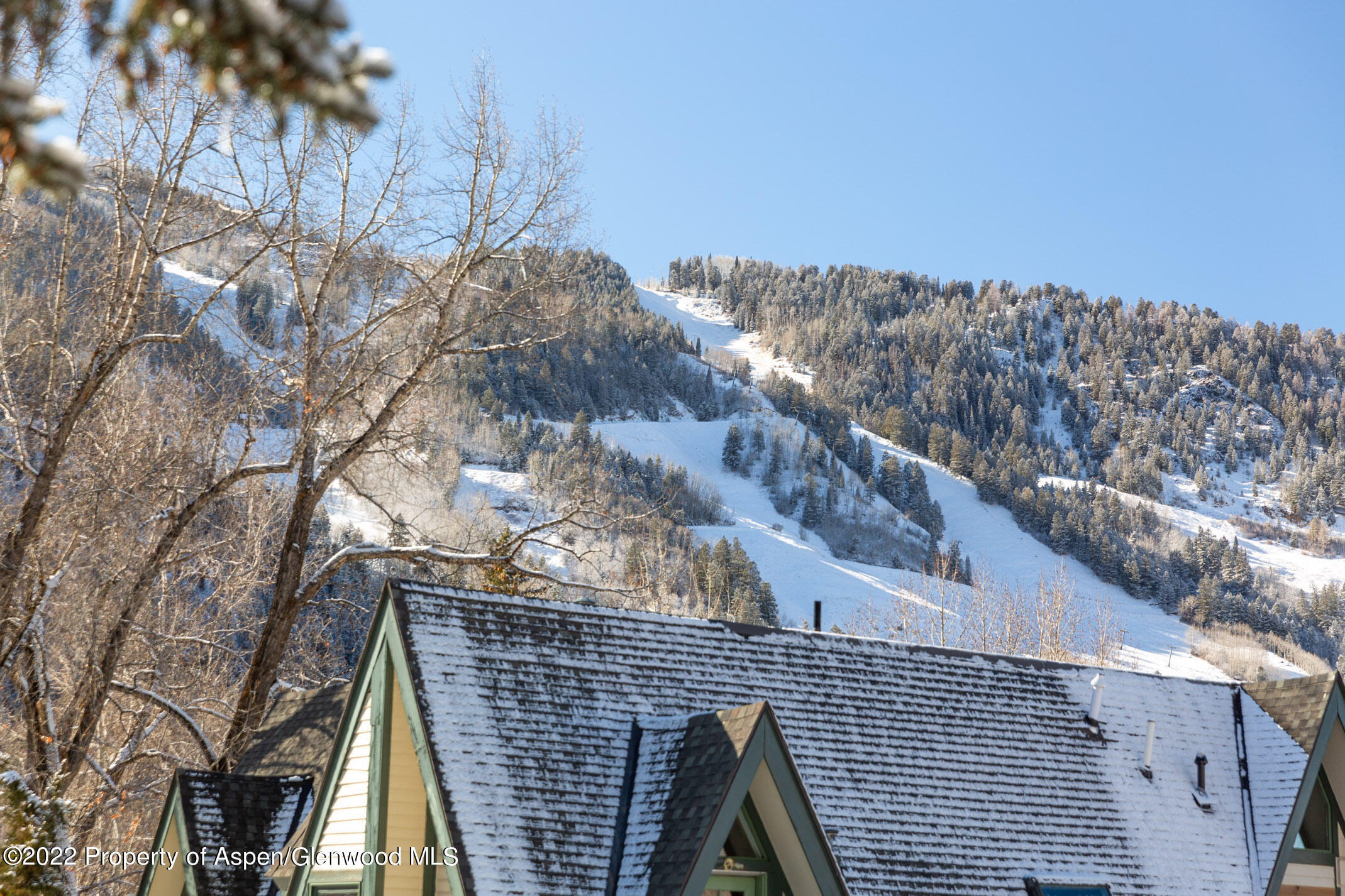 1015 E Hyman Avenue Aspen CO 81611
