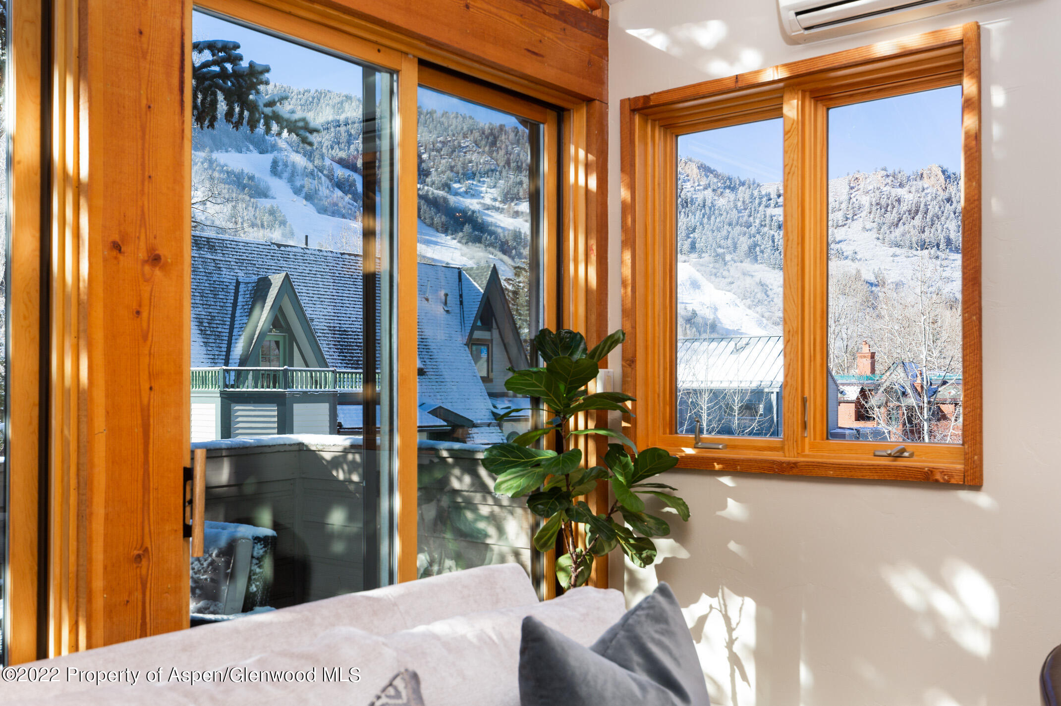 1015 E Hyman Avenue Aspen CO 81611