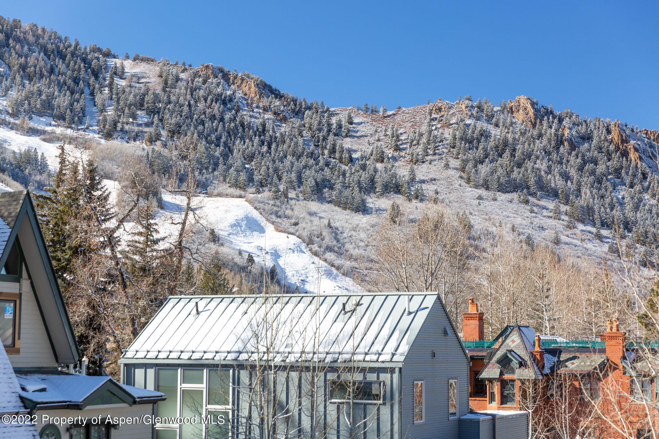 1015 E Hyman Avenue Aspen CO 81611