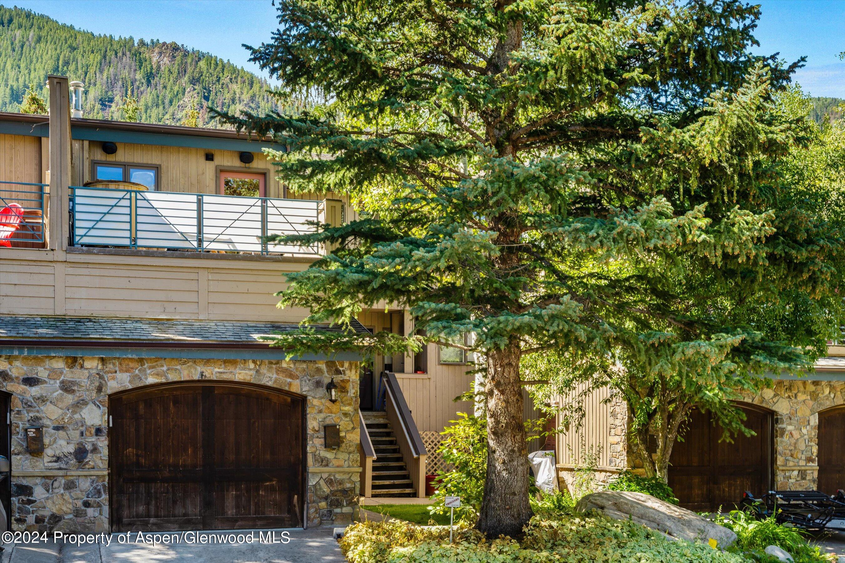 1015 E Hyman Avenue Aspen CO 81611