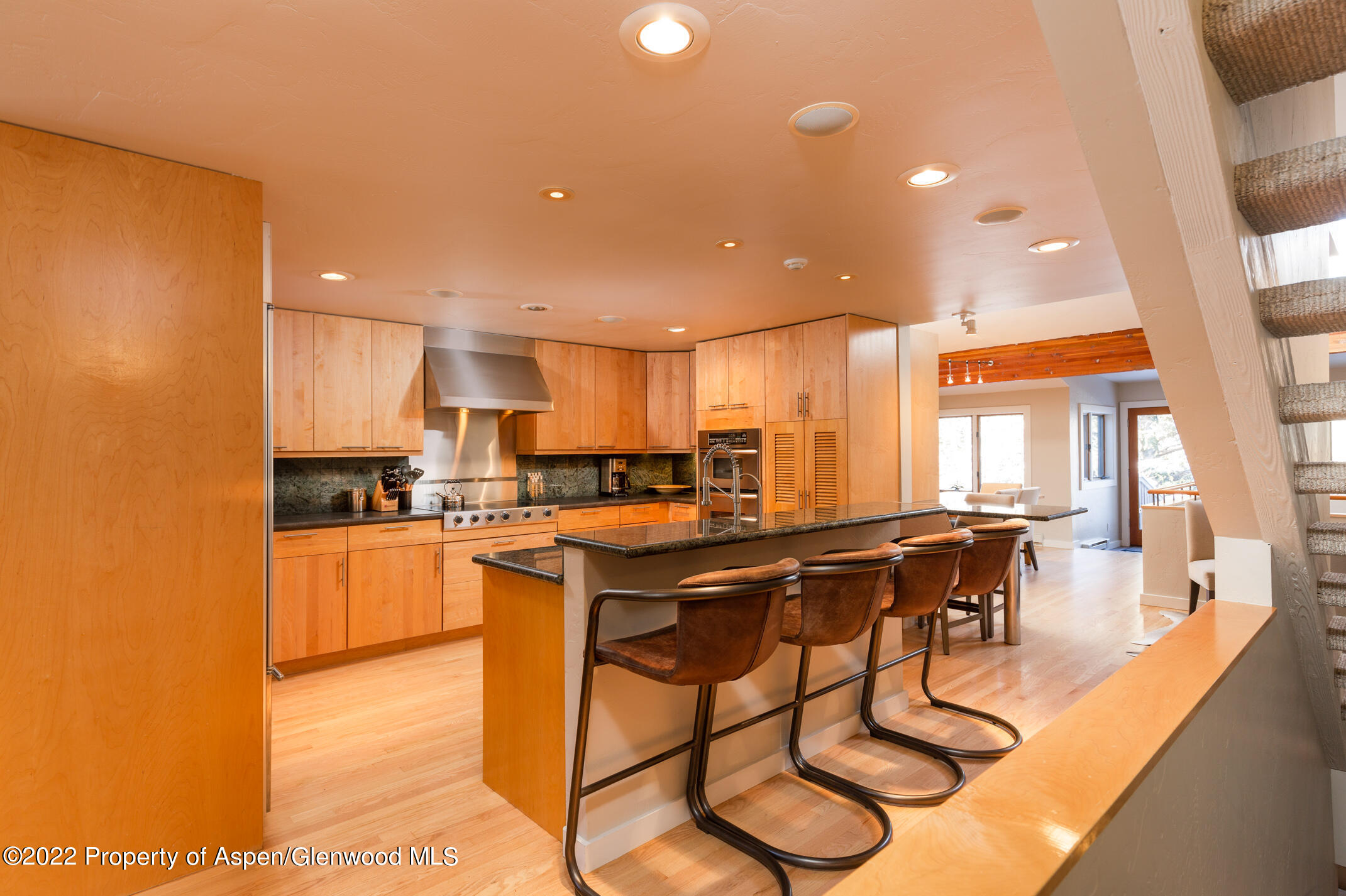 1015 E Hyman Avenue Aspen CO 81611