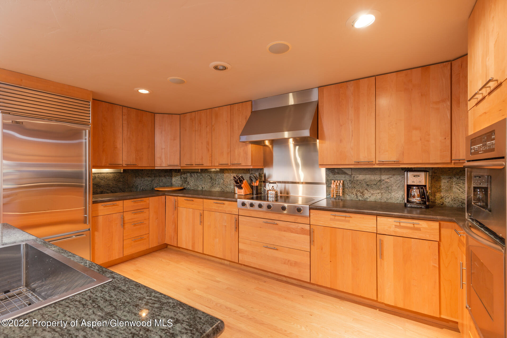 1015 E Hyman Avenue Aspen CO 81611