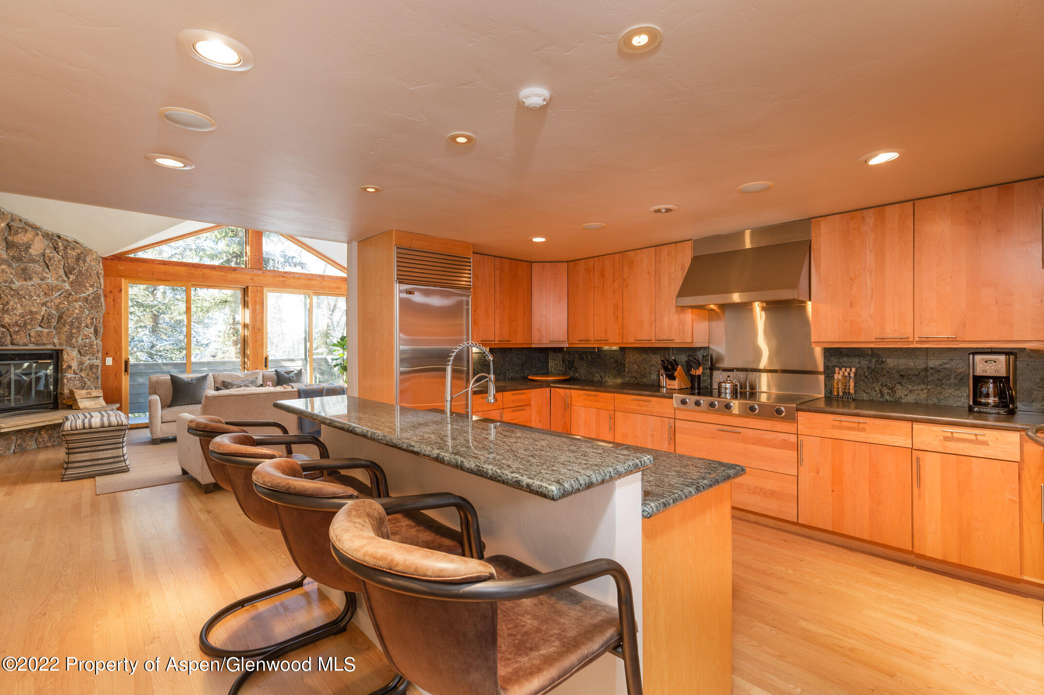 1015 E Hyman Avenue Aspen CO 81611