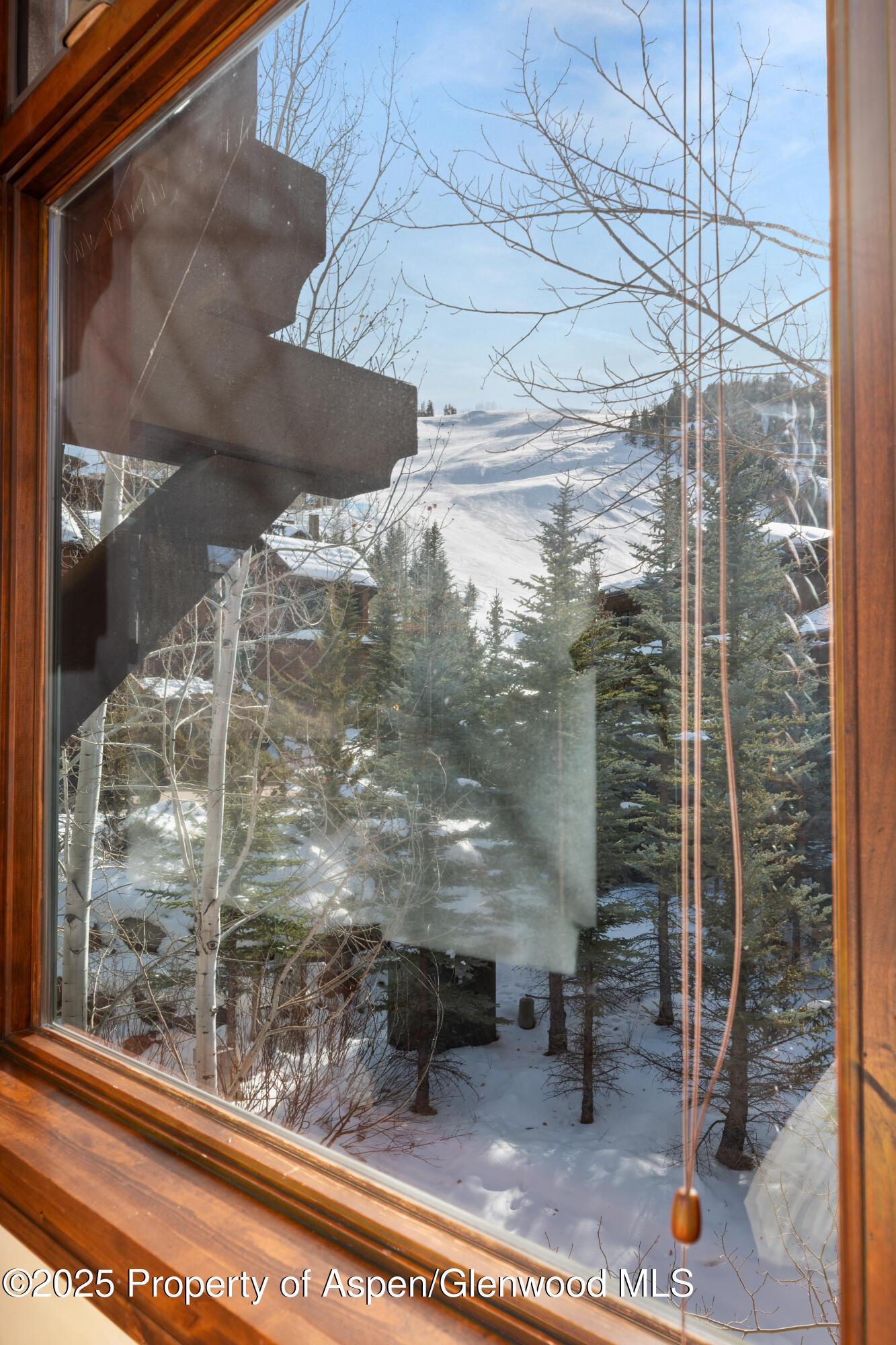 81 Thunderbowl Lane Aspen CO 81611