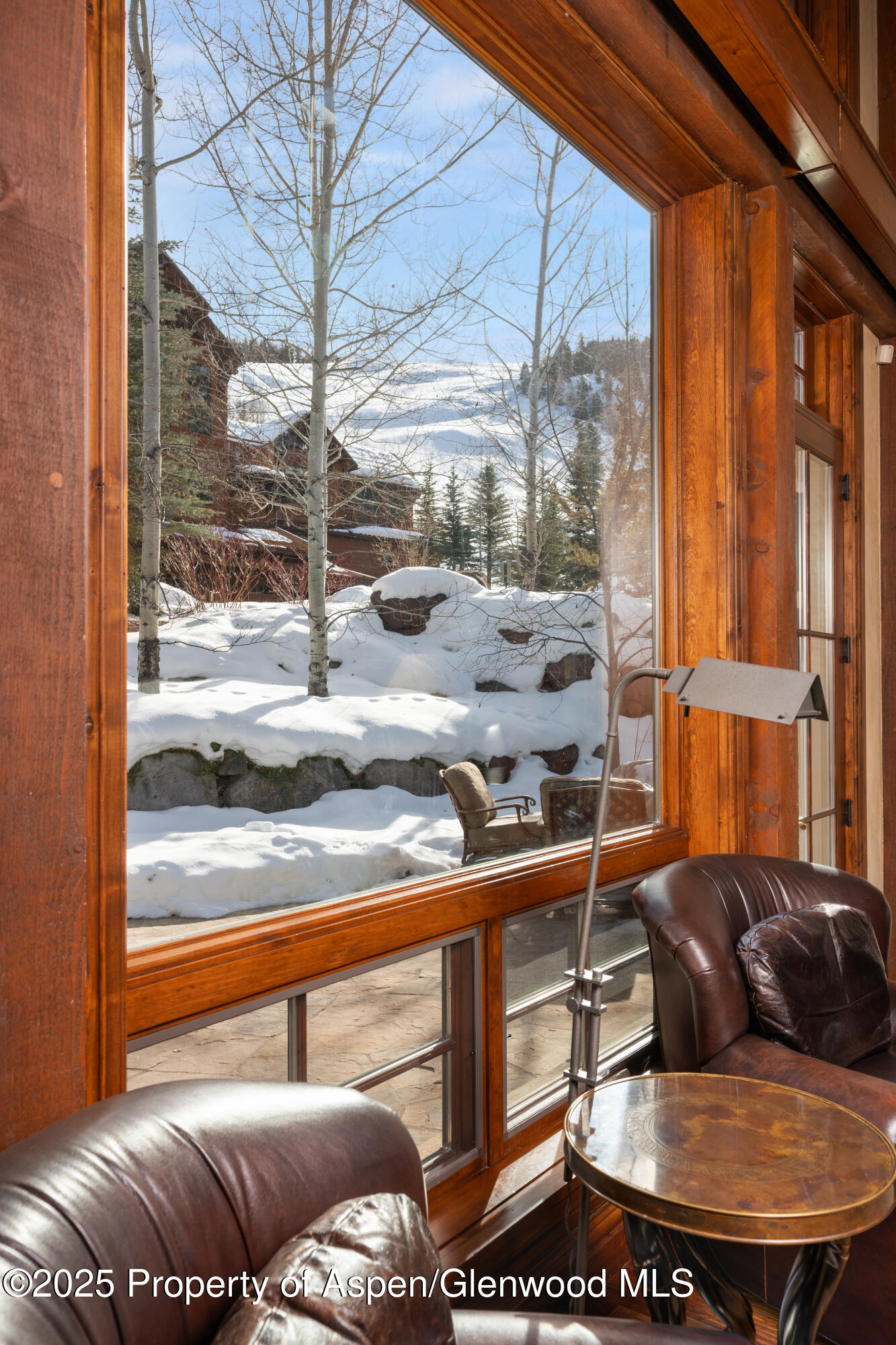 81 Thunderbowl Lane Aspen CO 81611