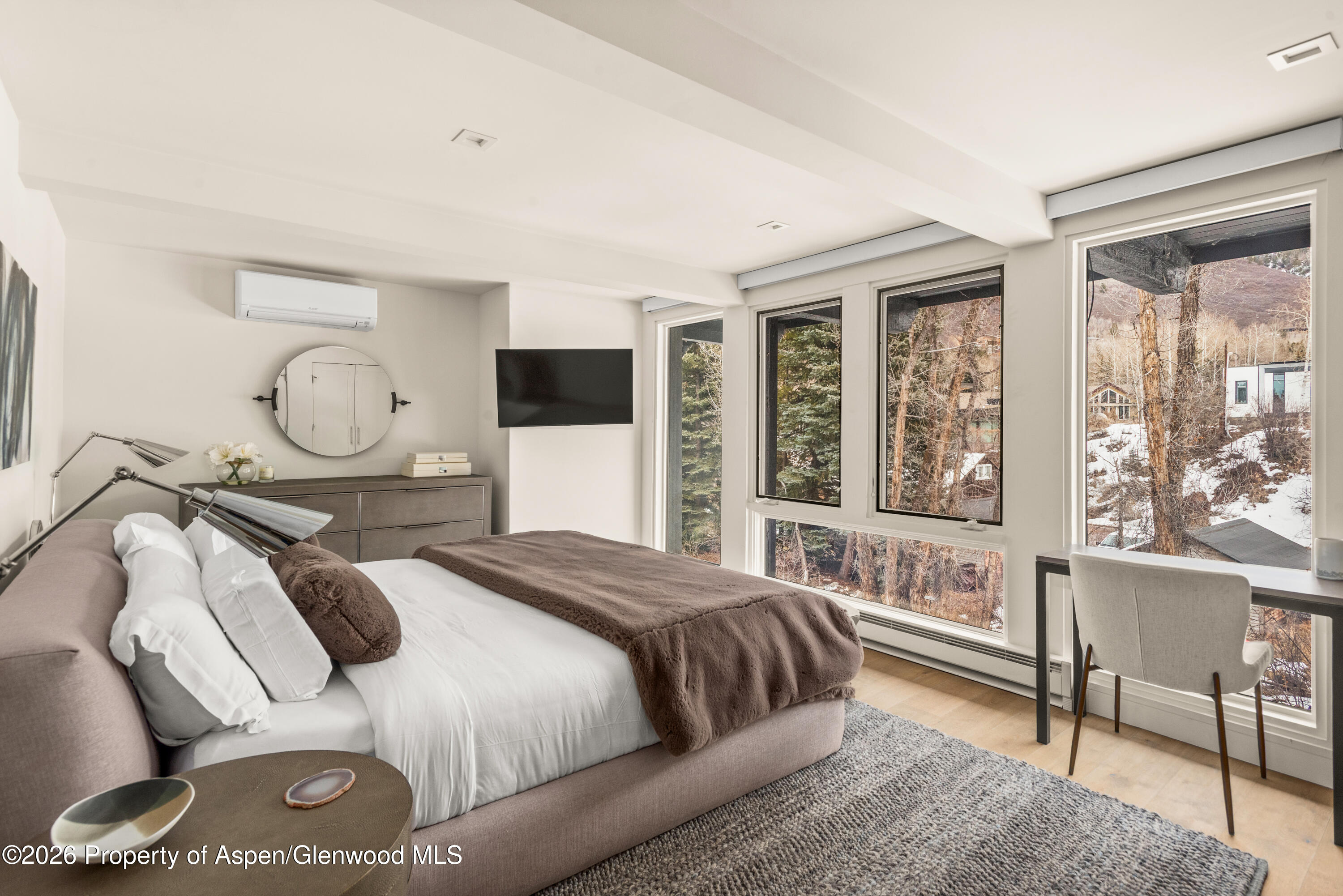 1039 E Cooper Avenue Aspen CO 81611