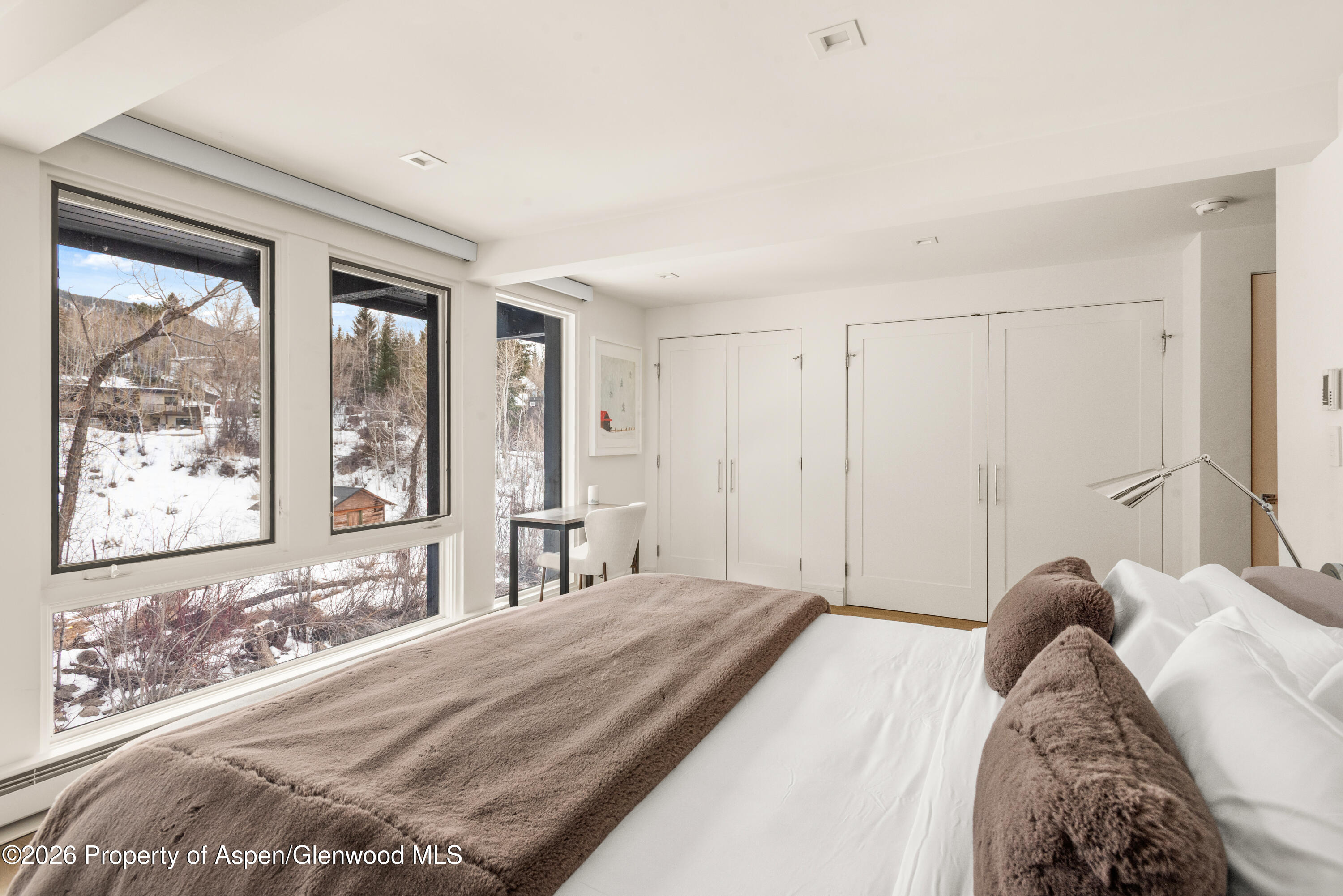 1039 E Cooper Avenue Aspen CO 81611