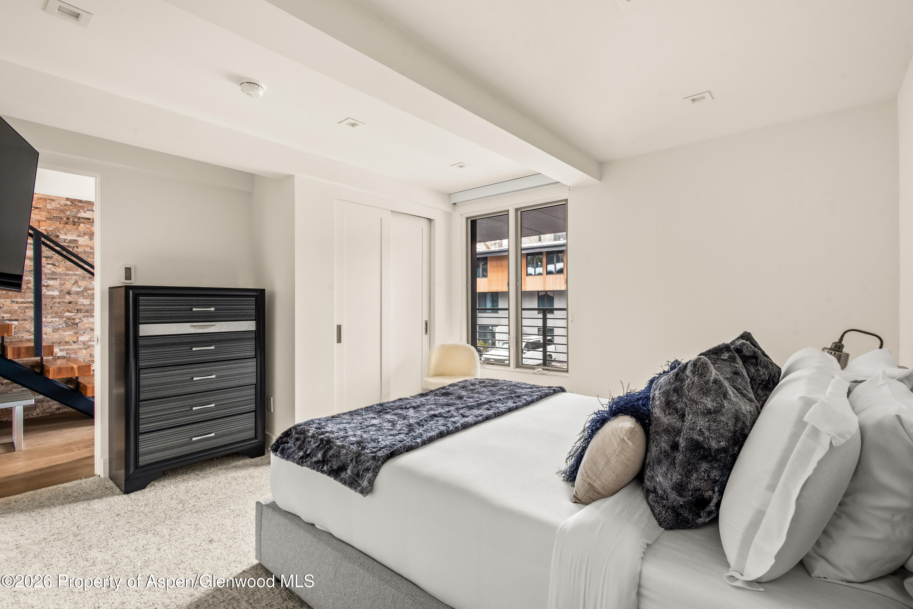 1039 E Cooper Avenue Aspen CO 81611