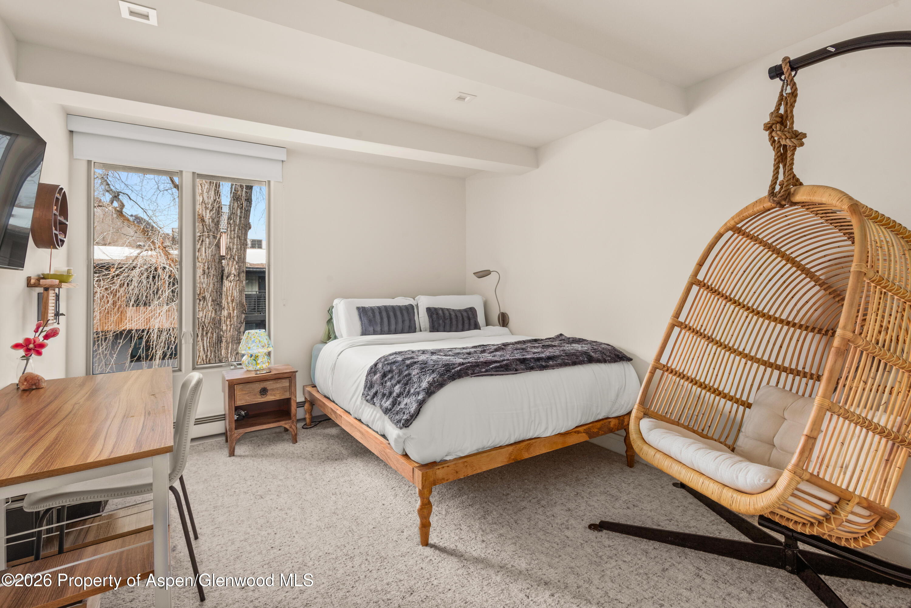 1039 E Cooper Avenue Aspen CO 81611