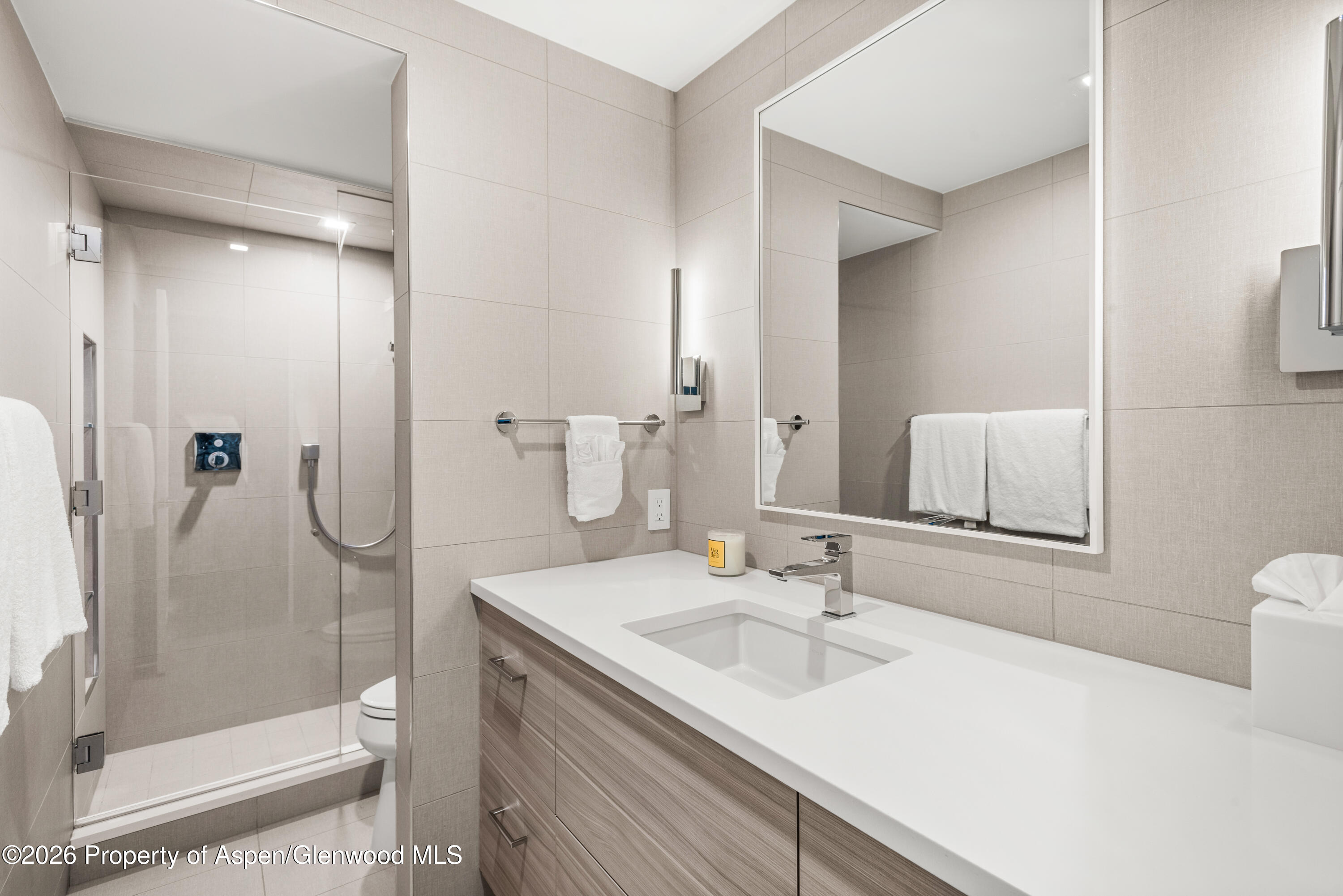 1039 E Cooper Avenue Aspen CO 81611