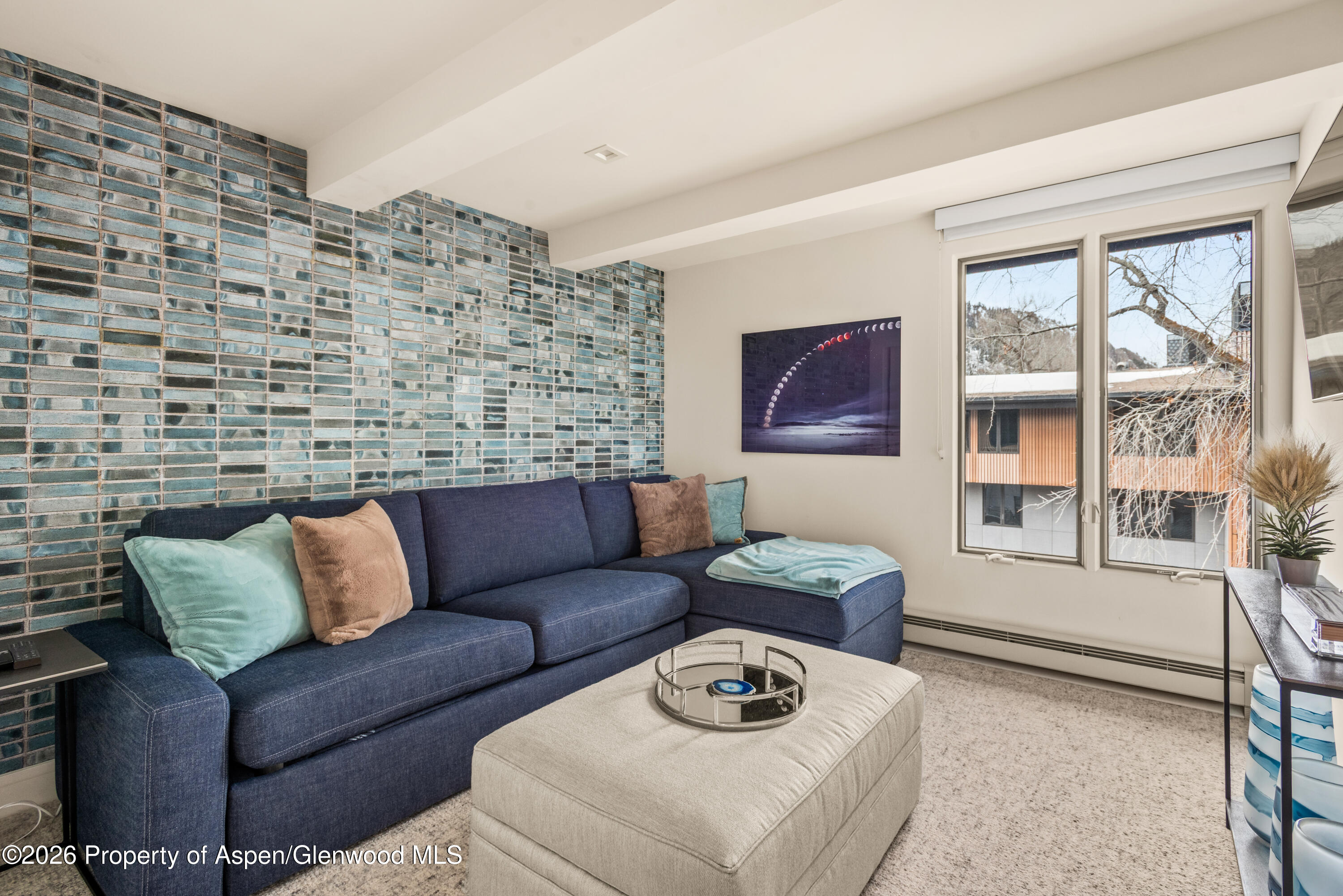 1039 E Cooper Avenue Aspen CO 81611