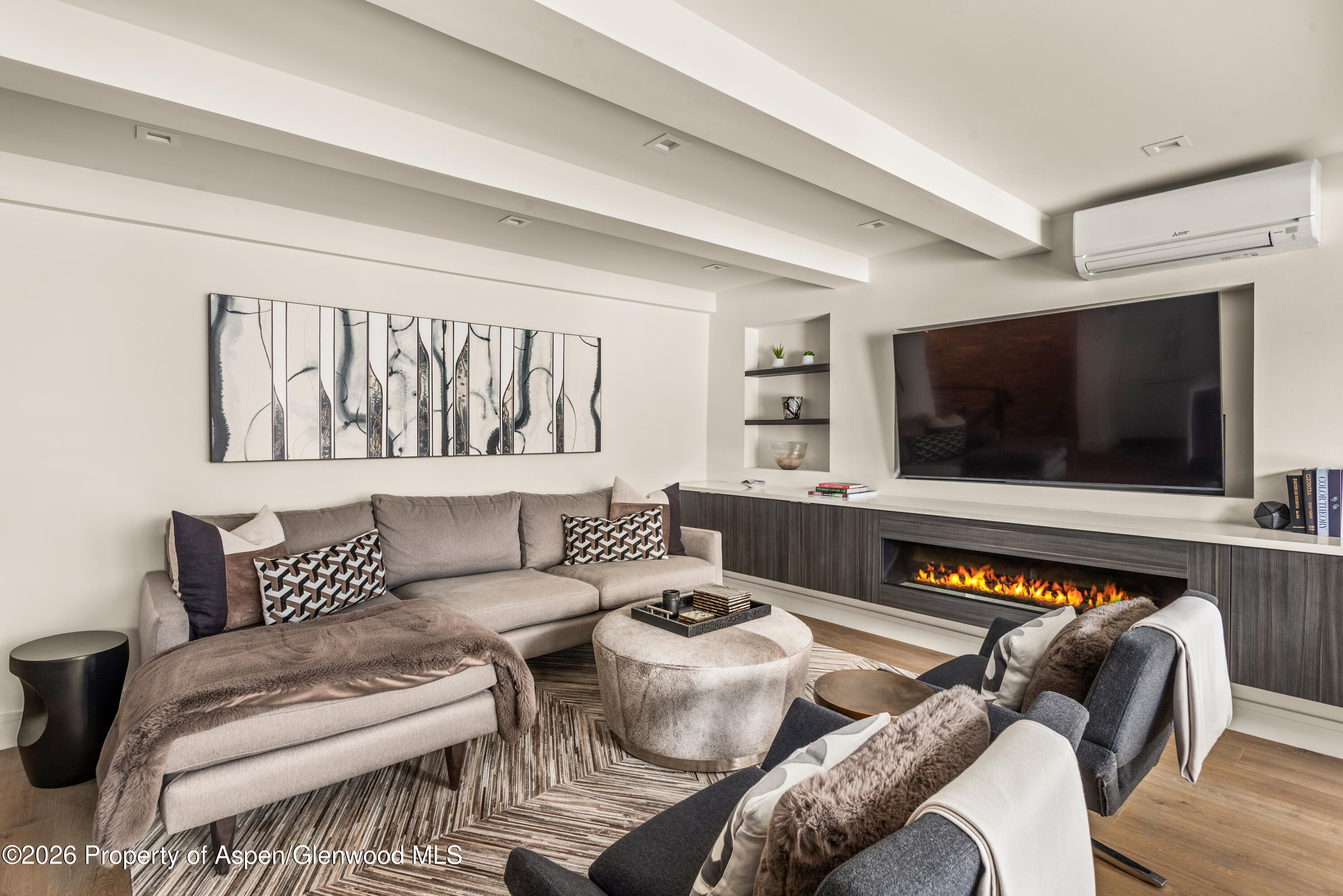 1039 E Cooper Avenue Aspen CO 81611