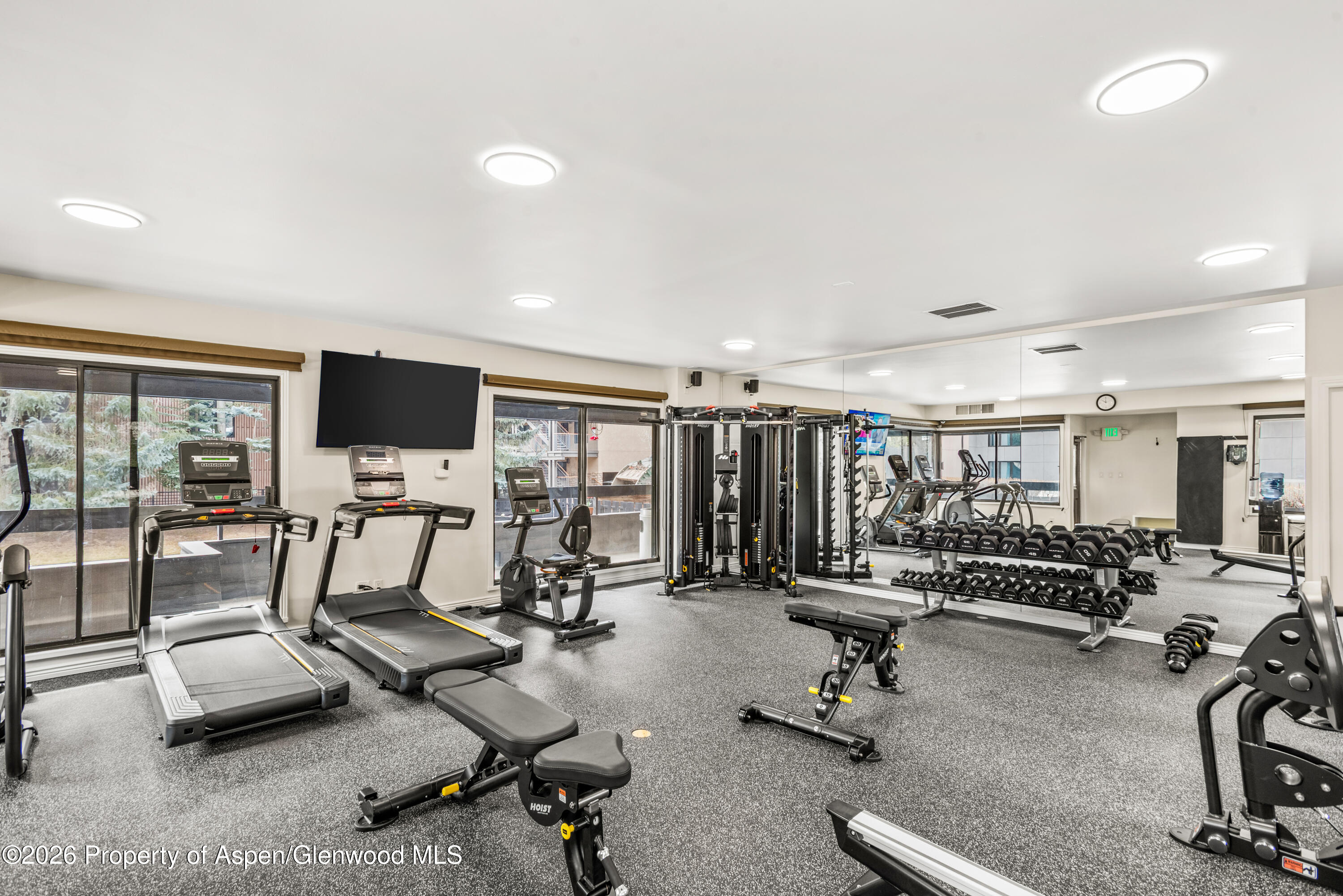 1039 E Cooper Avenue Aspen CO 81611