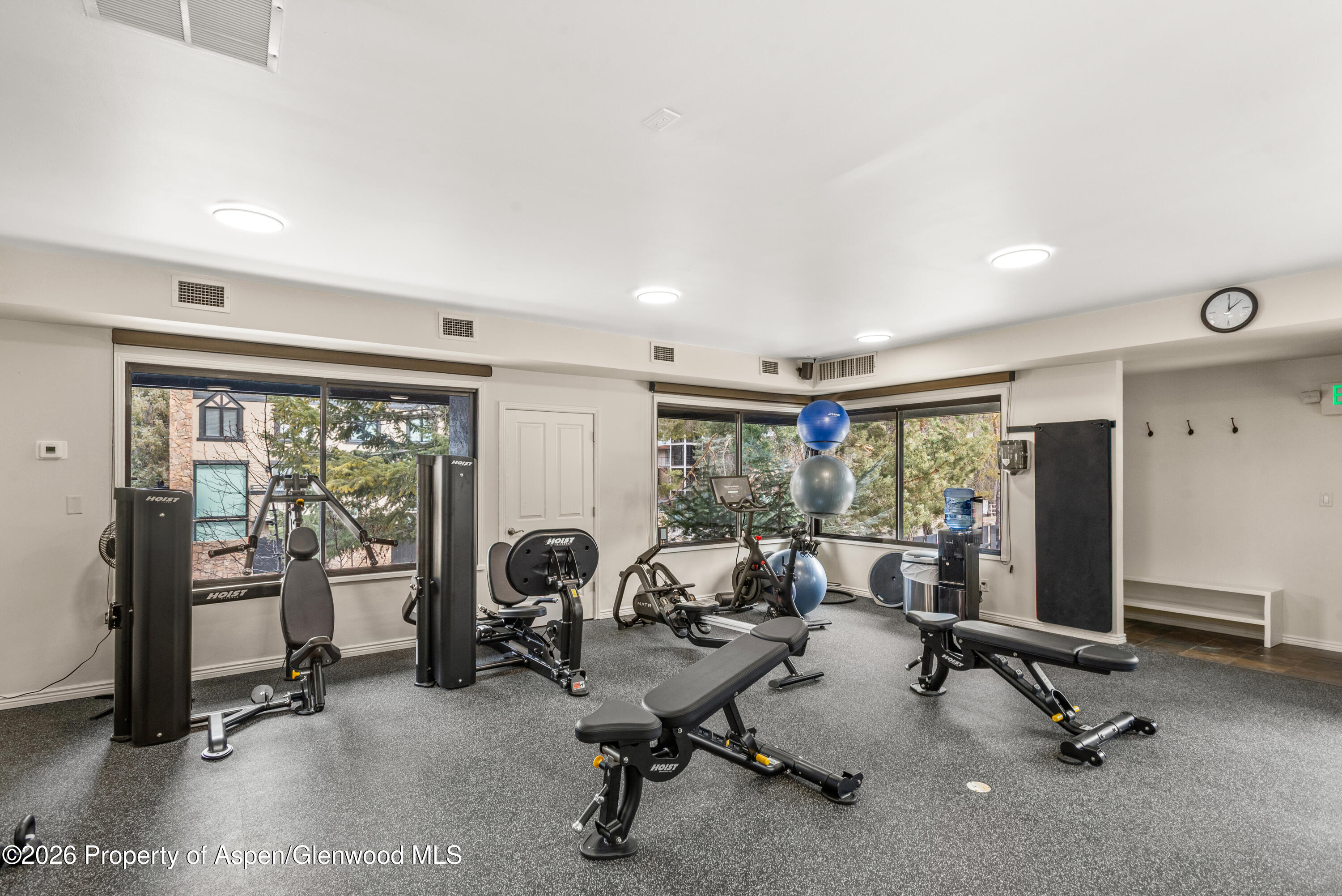 1039 E Cooper Avenue Aspen CO 81611