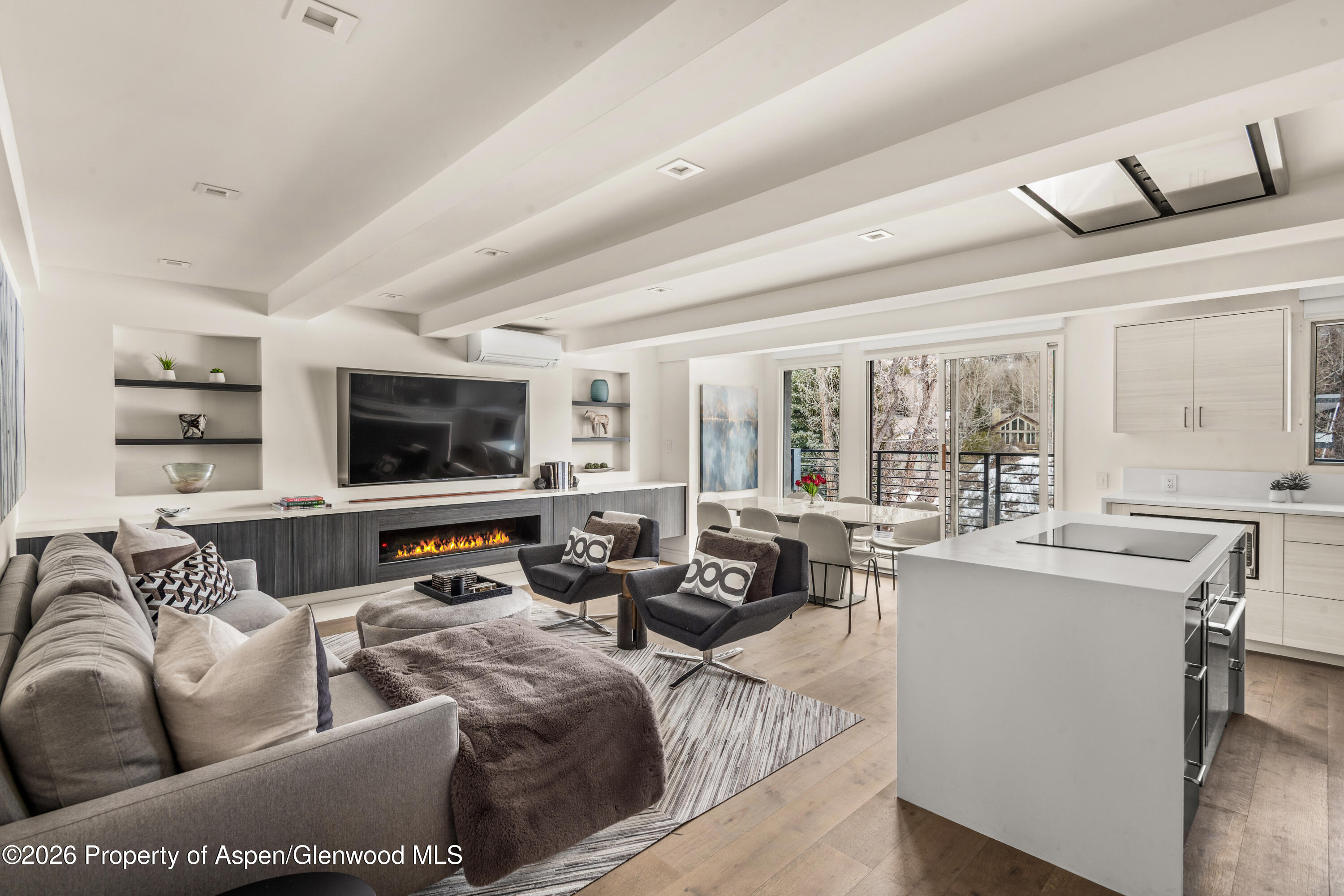 1039 E Cooper Avenue Aspen CO 81611