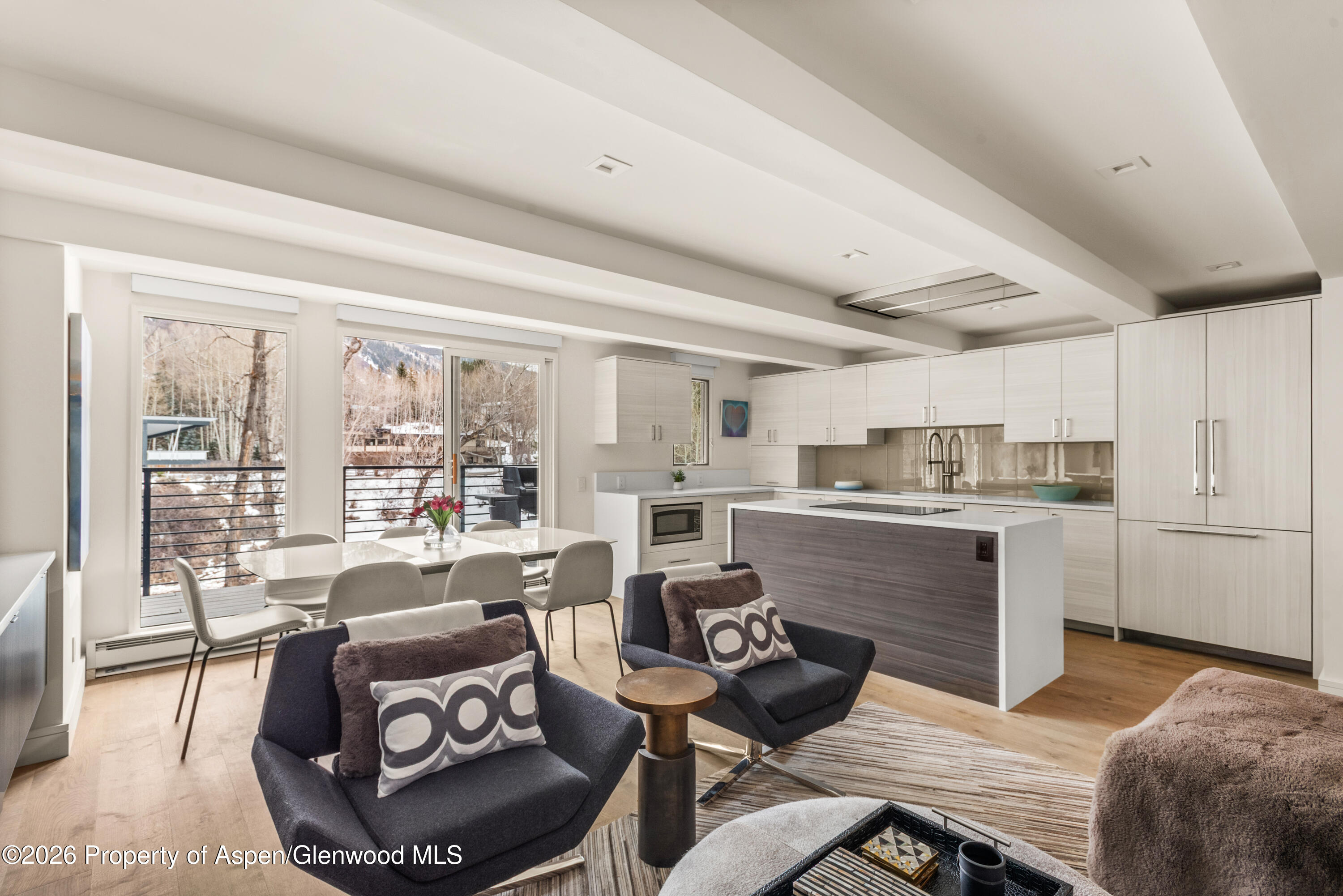 1039 E Cooper Avenue Aspen CO 81611