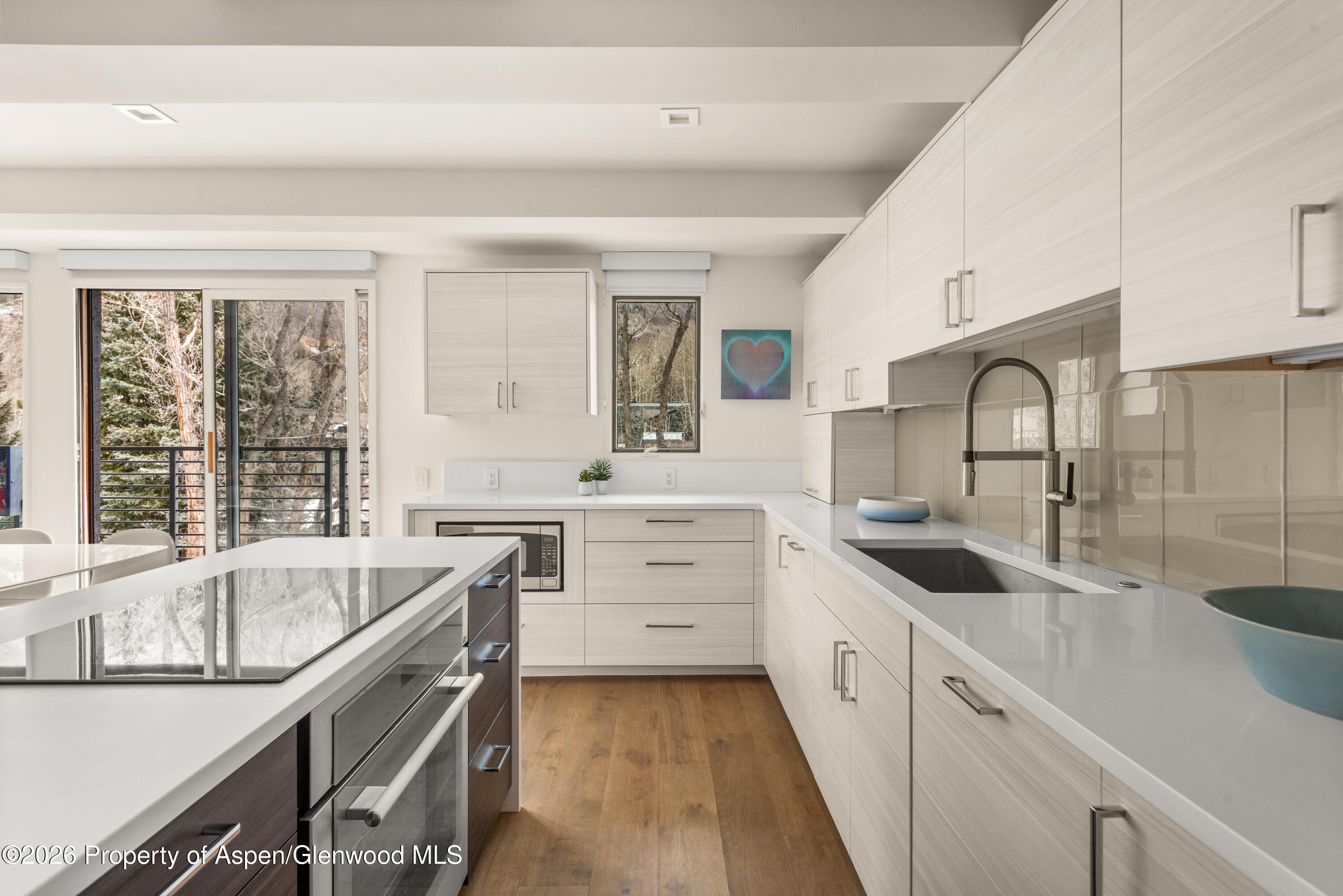 1039 E Cooper Avenue Aspen CO 81611