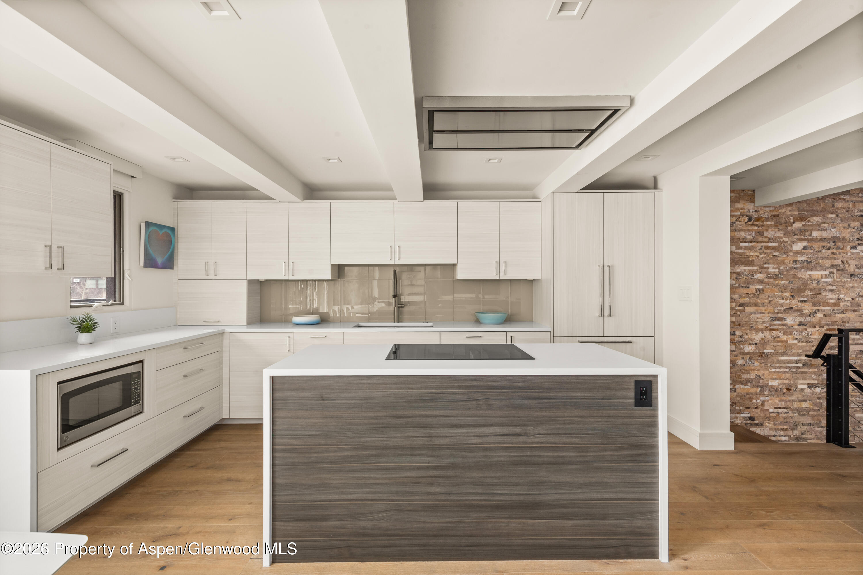 1039 E Cooper Avenue Aspen CO 81611