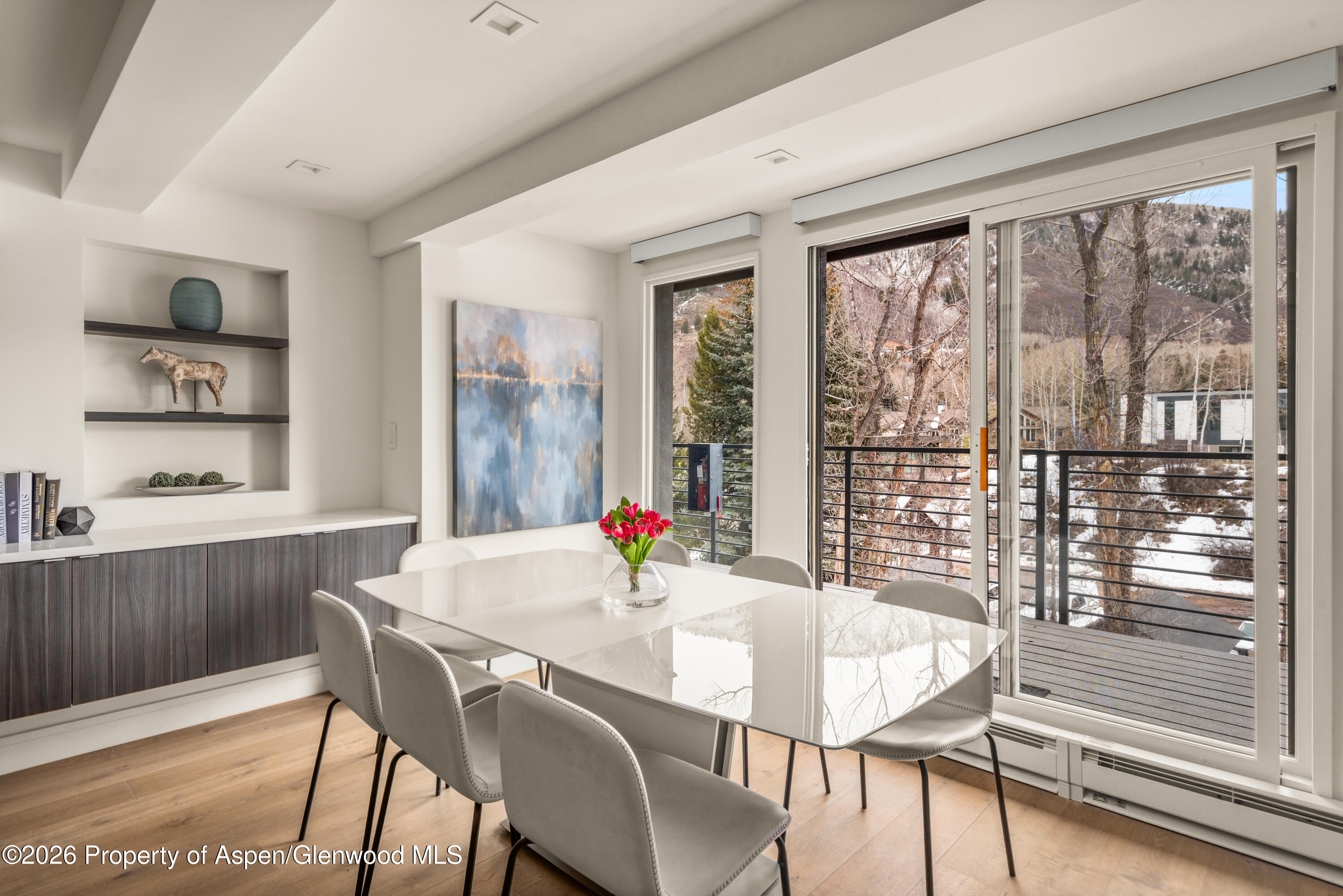 1039 E Cooper Avenue Aspen CO 81611