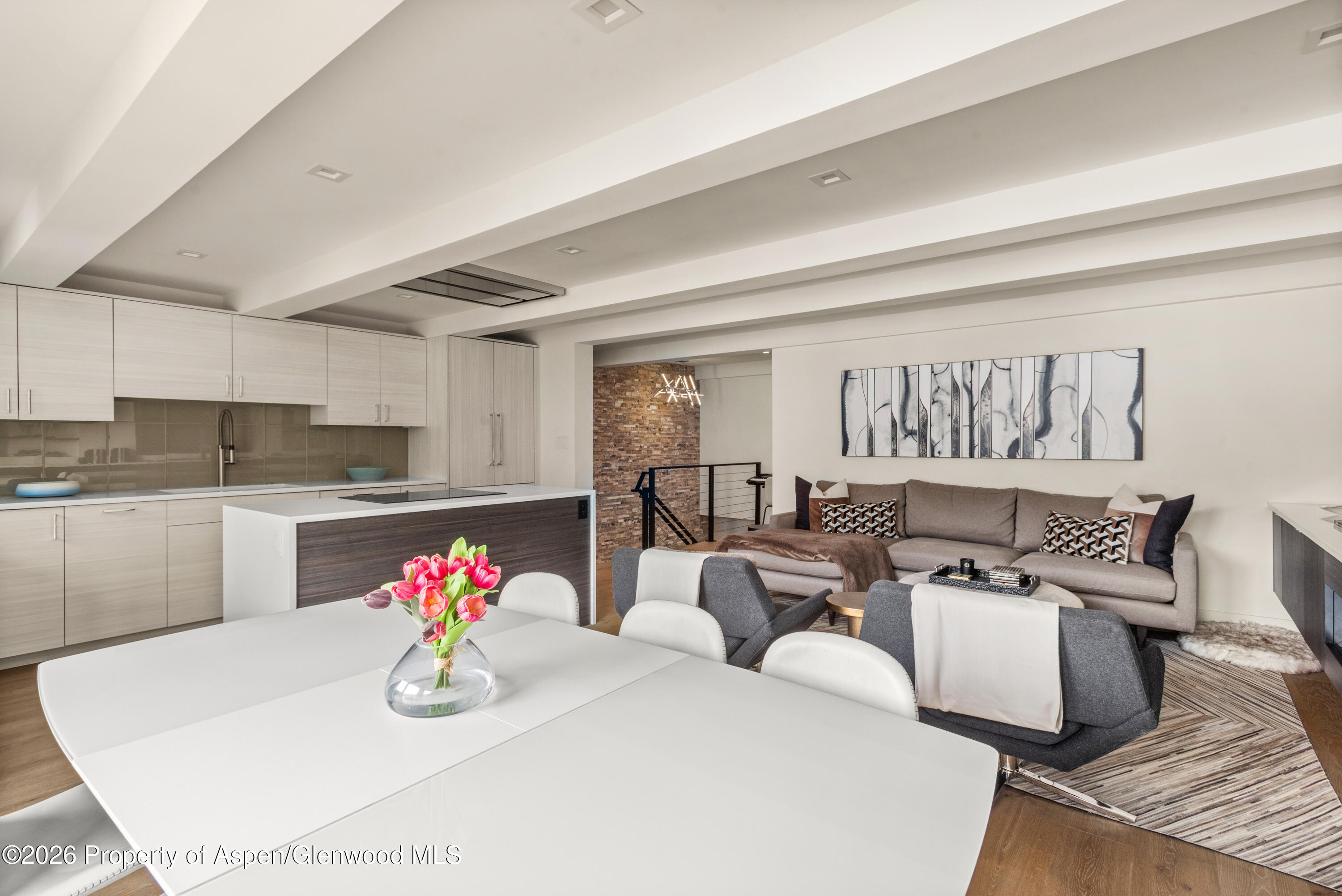 1039 E Cooper Avenue Aspen CO 81611