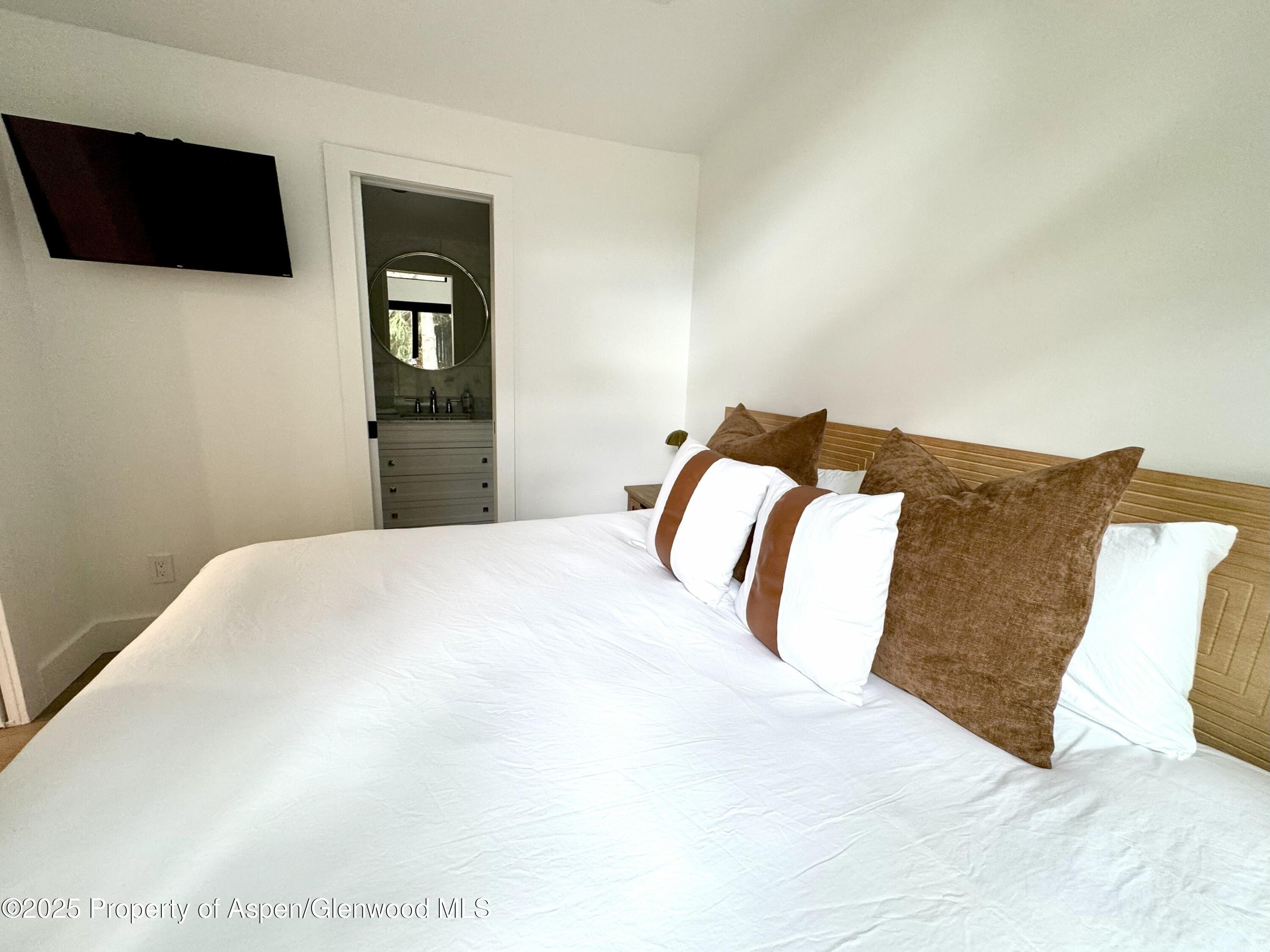 548.5 Spruce Street Aspen CO 81611