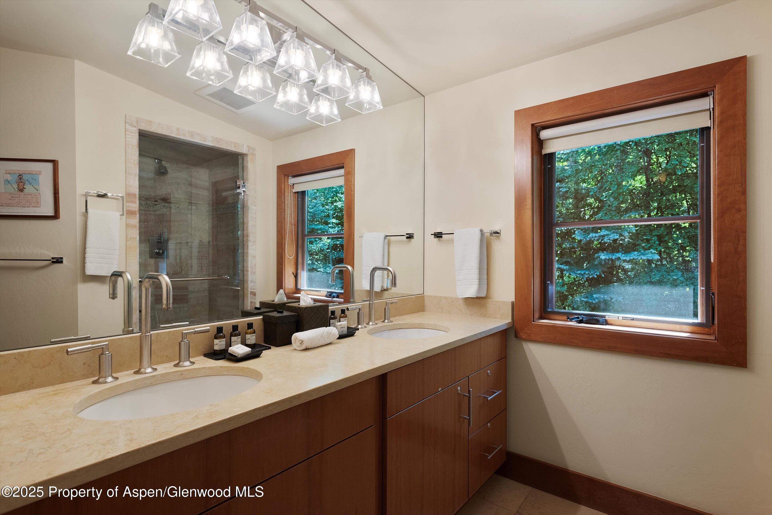 714 S Galena Street Aspen CO 81611