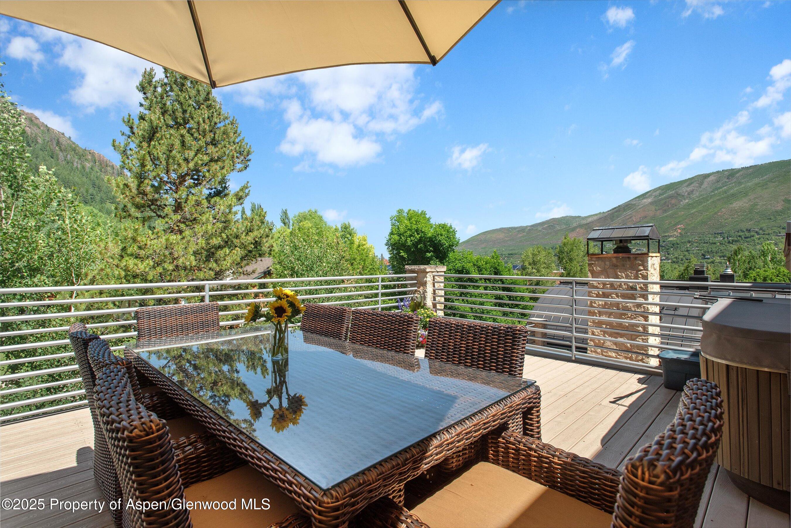 714 S Galena Street Aspen CO 81611