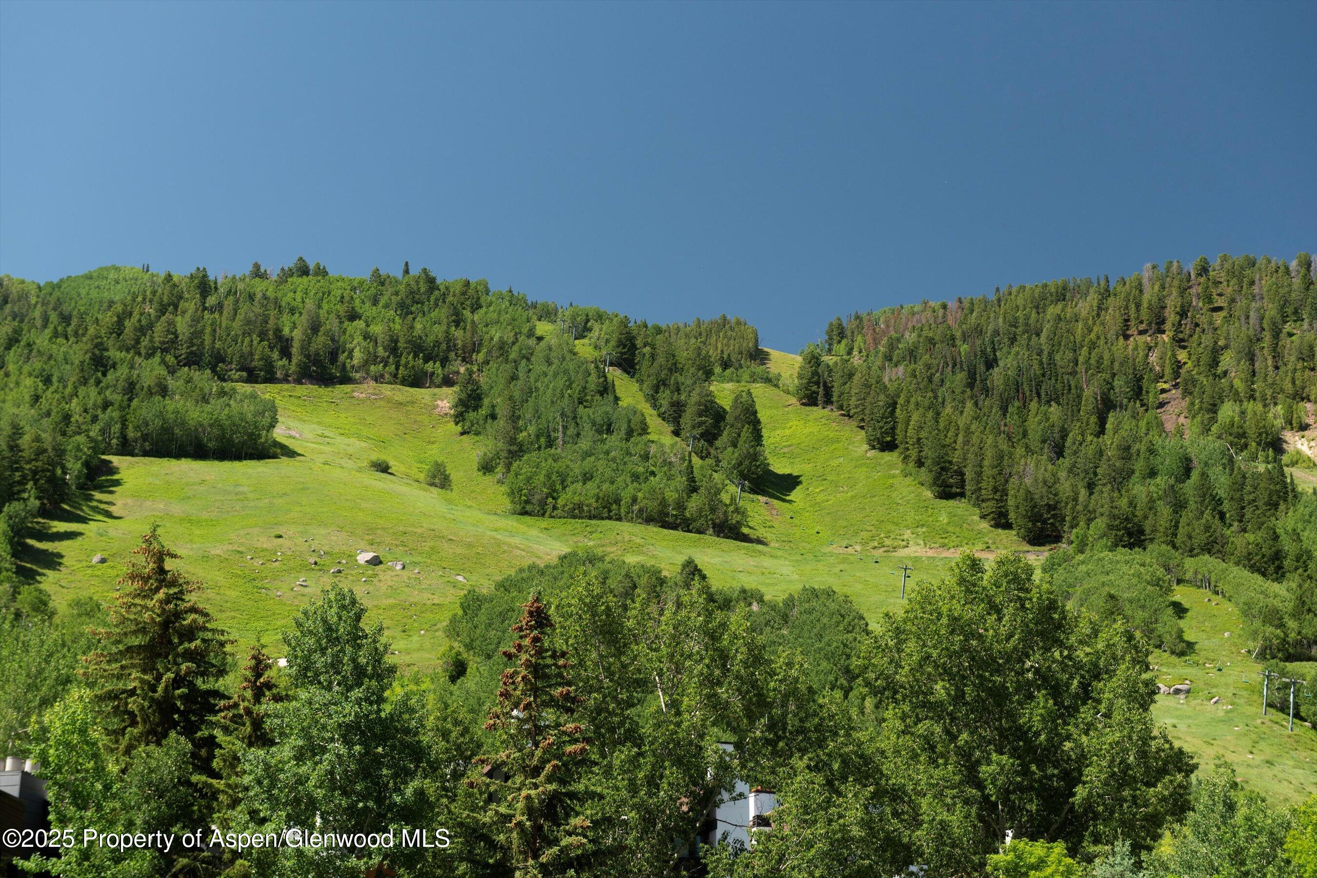714 S Galena Street Aspen CO 81611