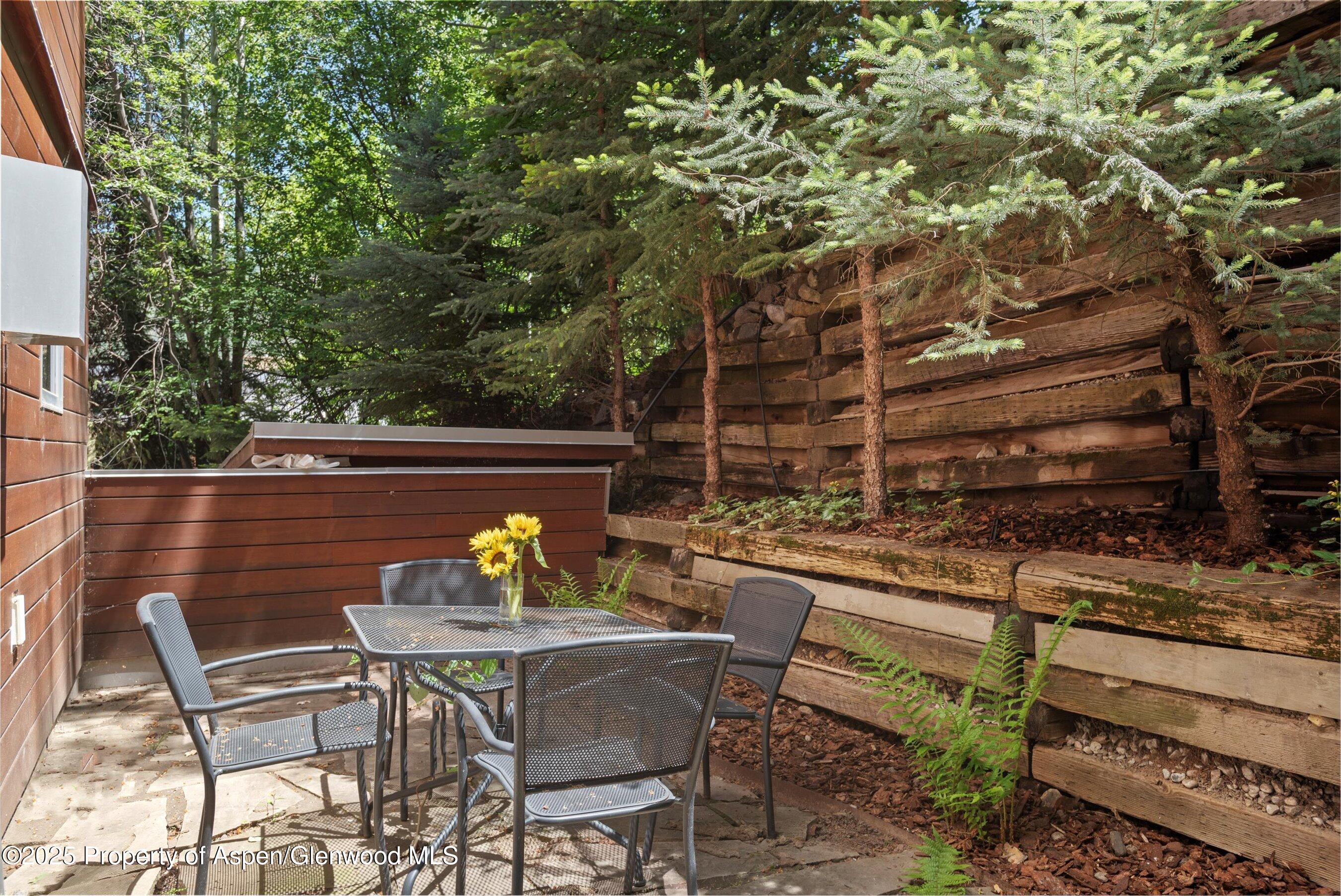 714 S Galena Street Aspen CO 81611
