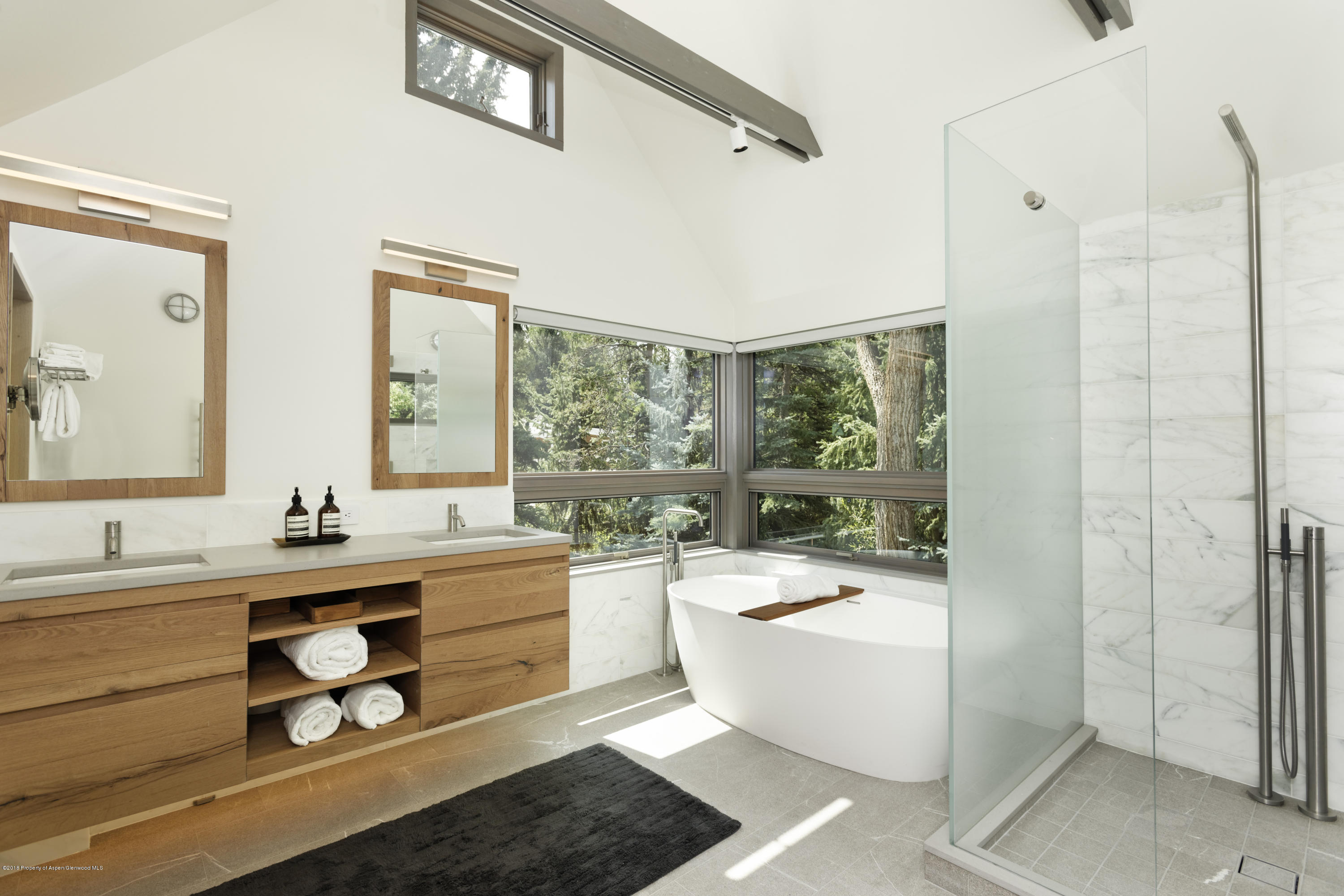 411 W Francis Street Aspen CO 81611