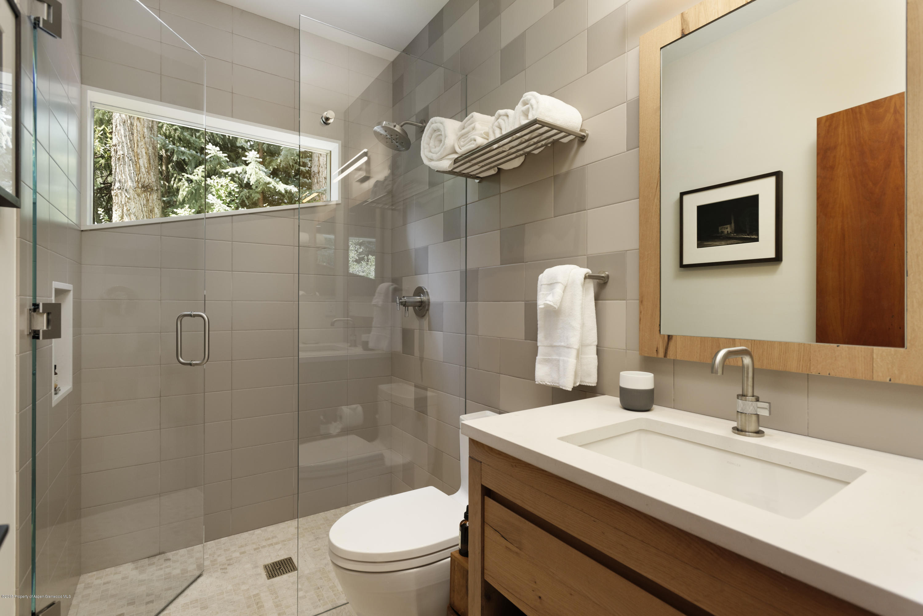 411 W Francis Street Aspen CO 81611