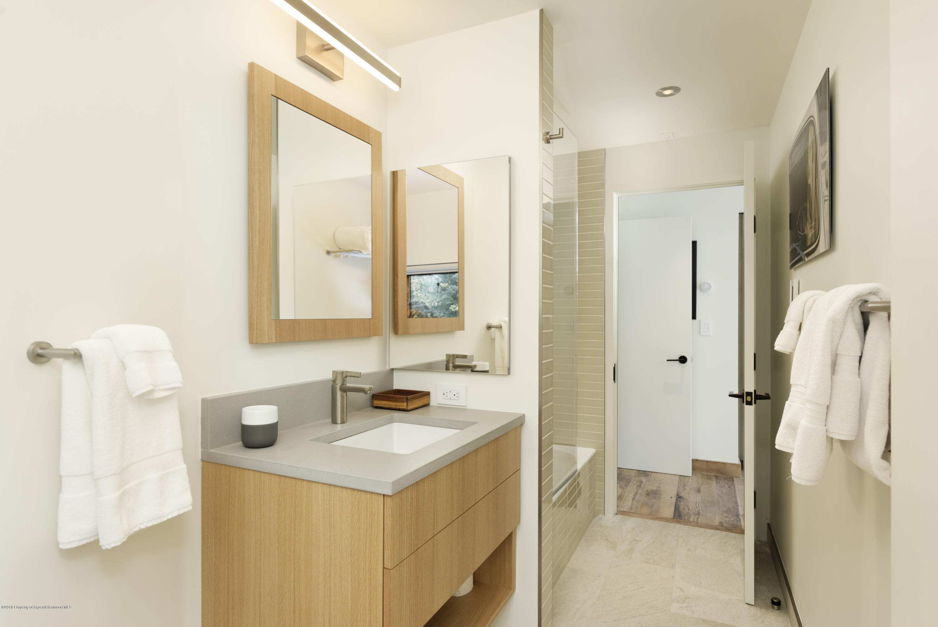 411 W Francis Street Aspen CO 81611