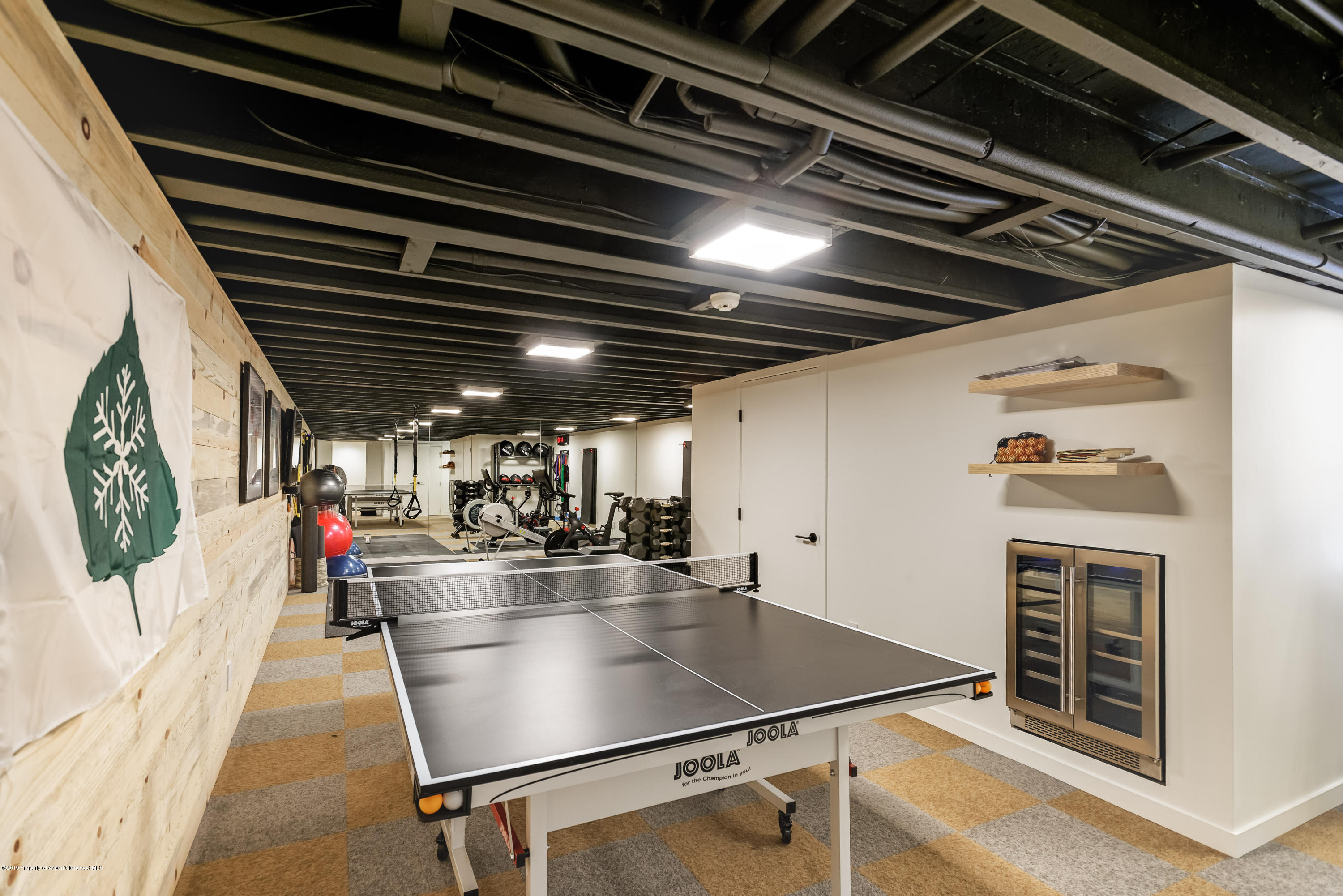 411 W Francis Street Aspen CO 81611